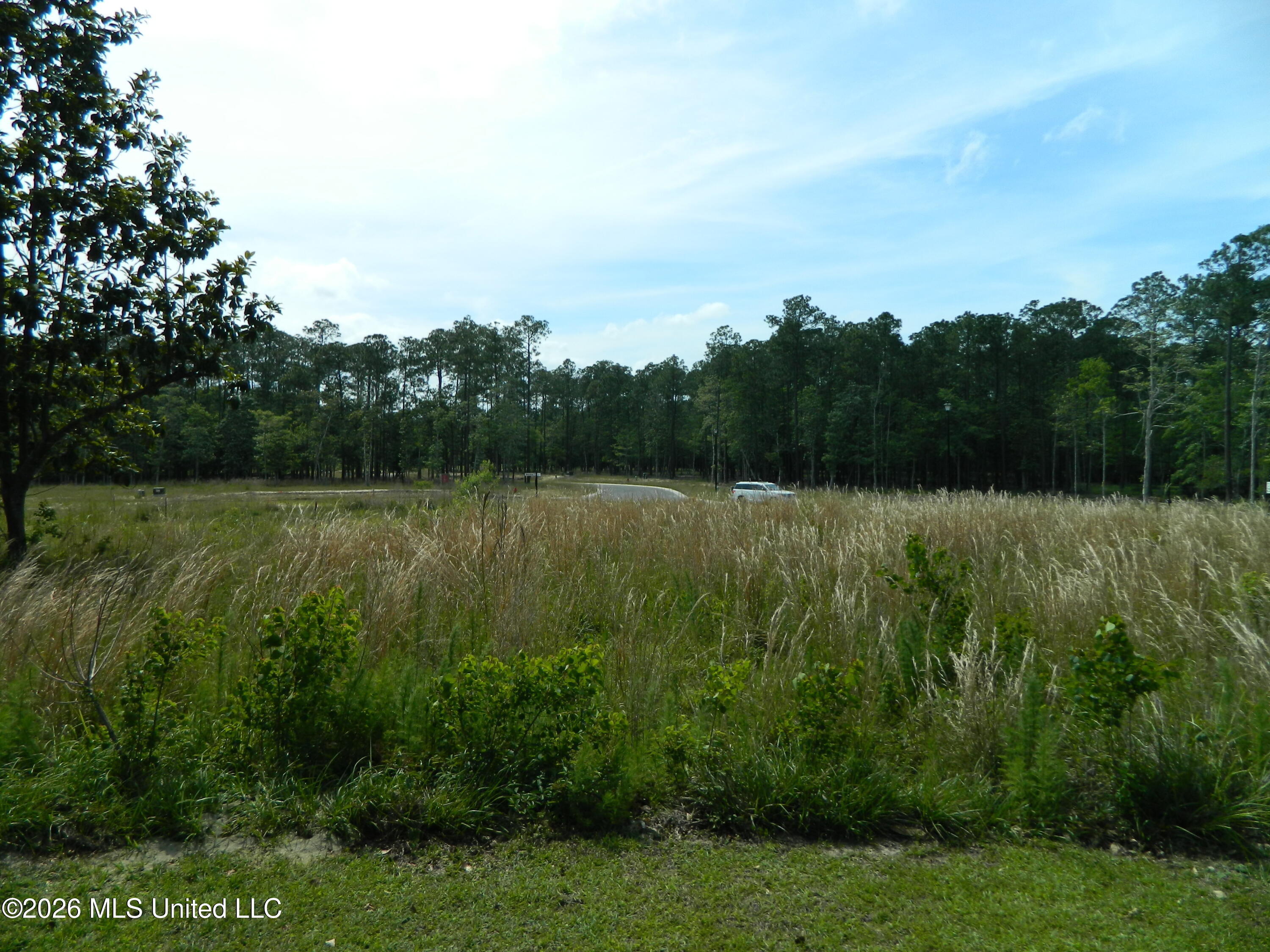 6430 Maluhia Drive Property Photo 10