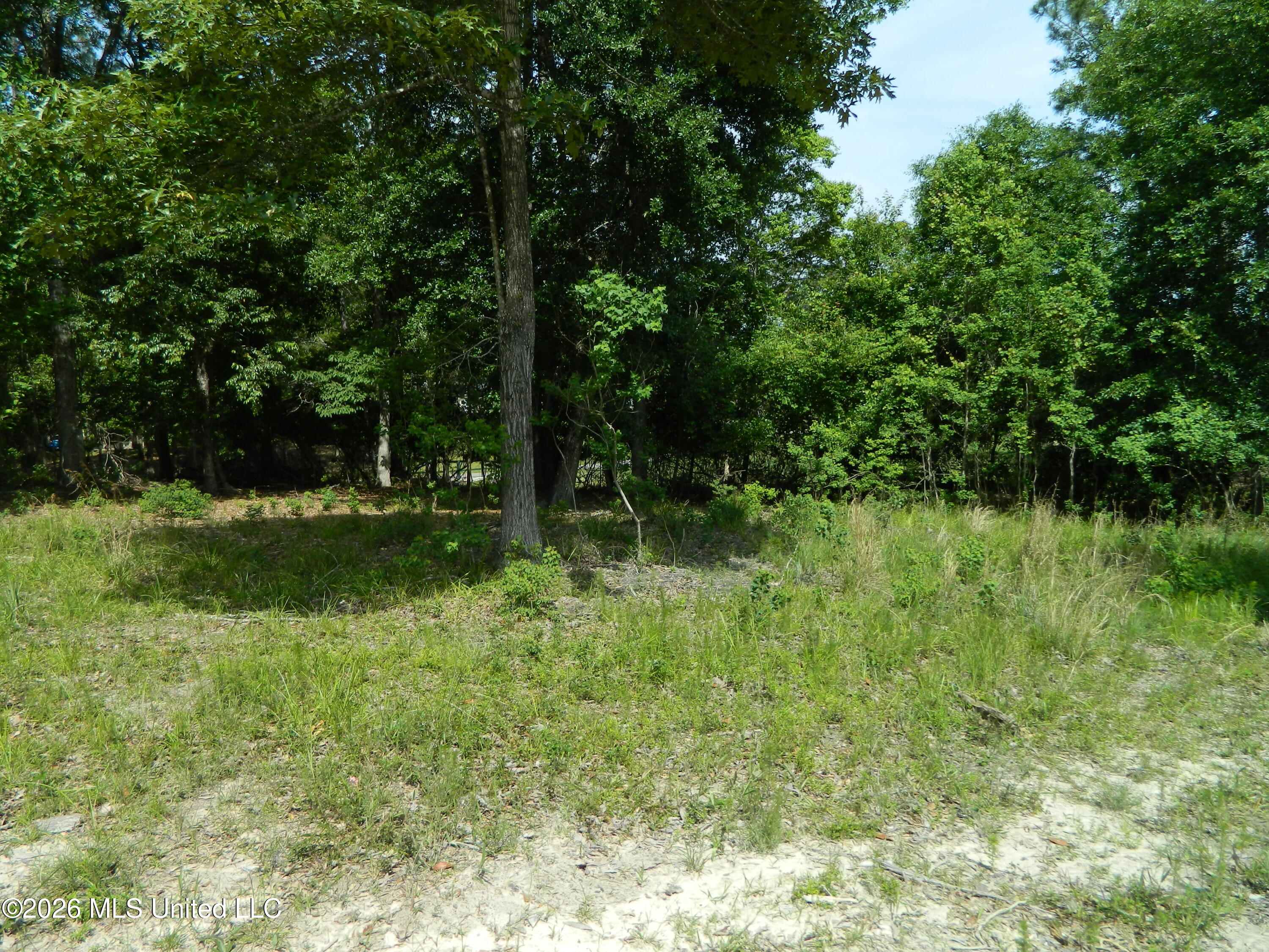 5518 Maluhia Cove Property Photo 6