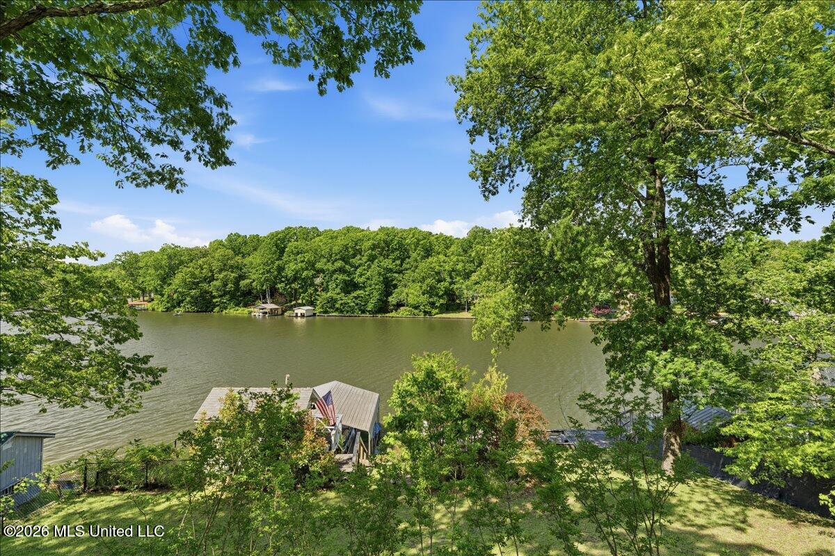 1827 Snow Lake Drive Property Photo 37