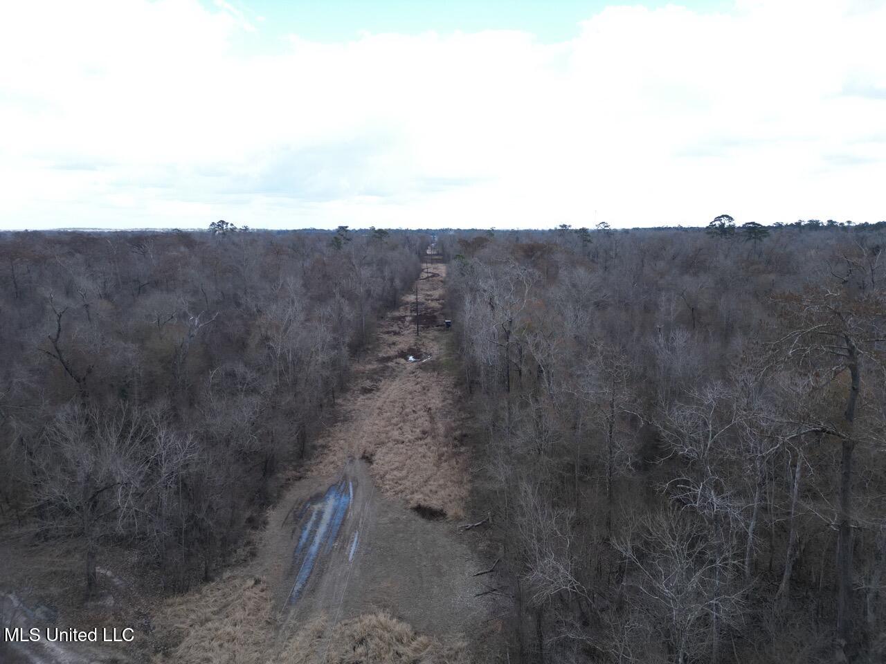 2600 Martin Tram Road Property Photo 2