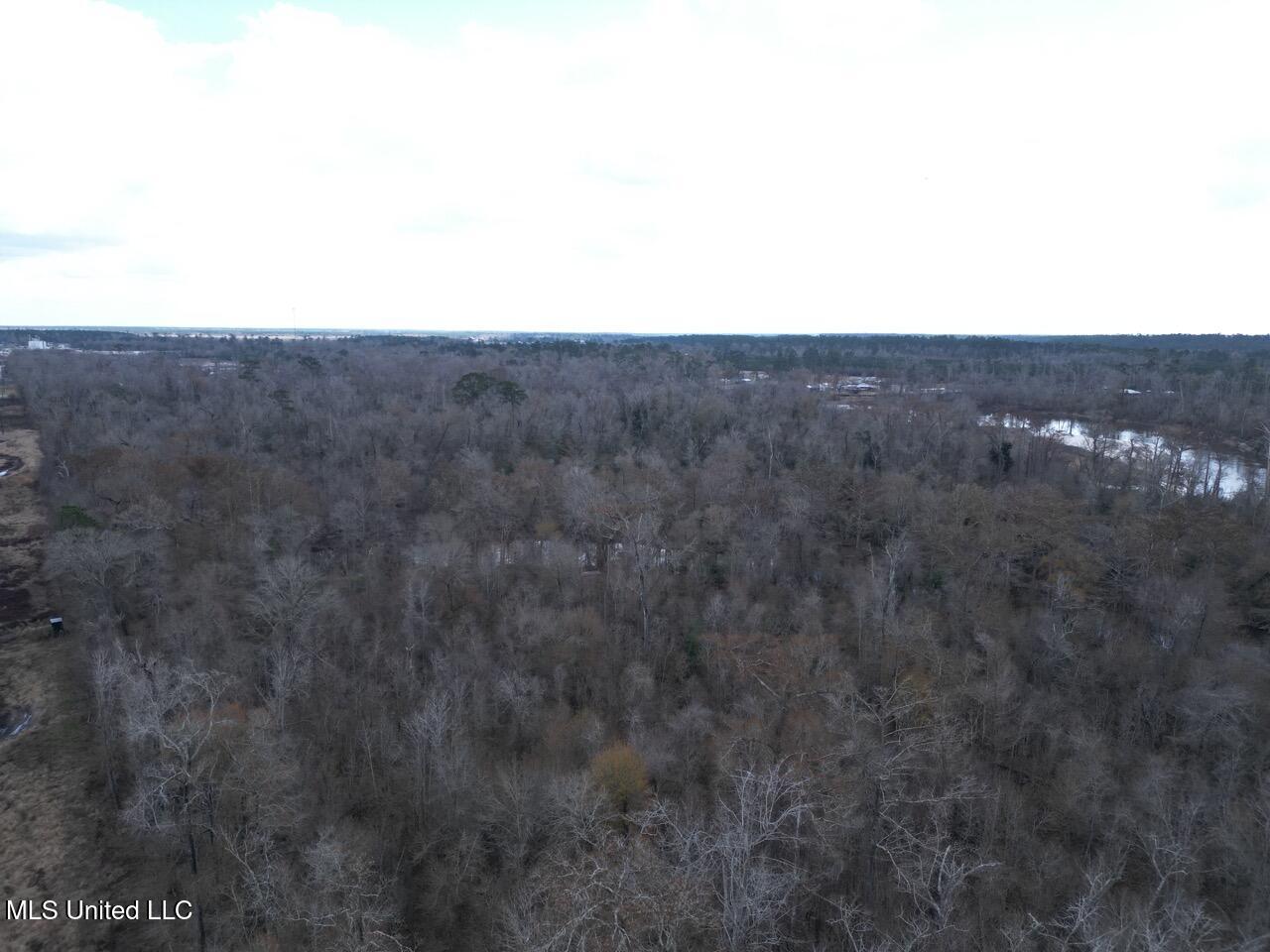 2600 Martin Tram Road Property Photo 3