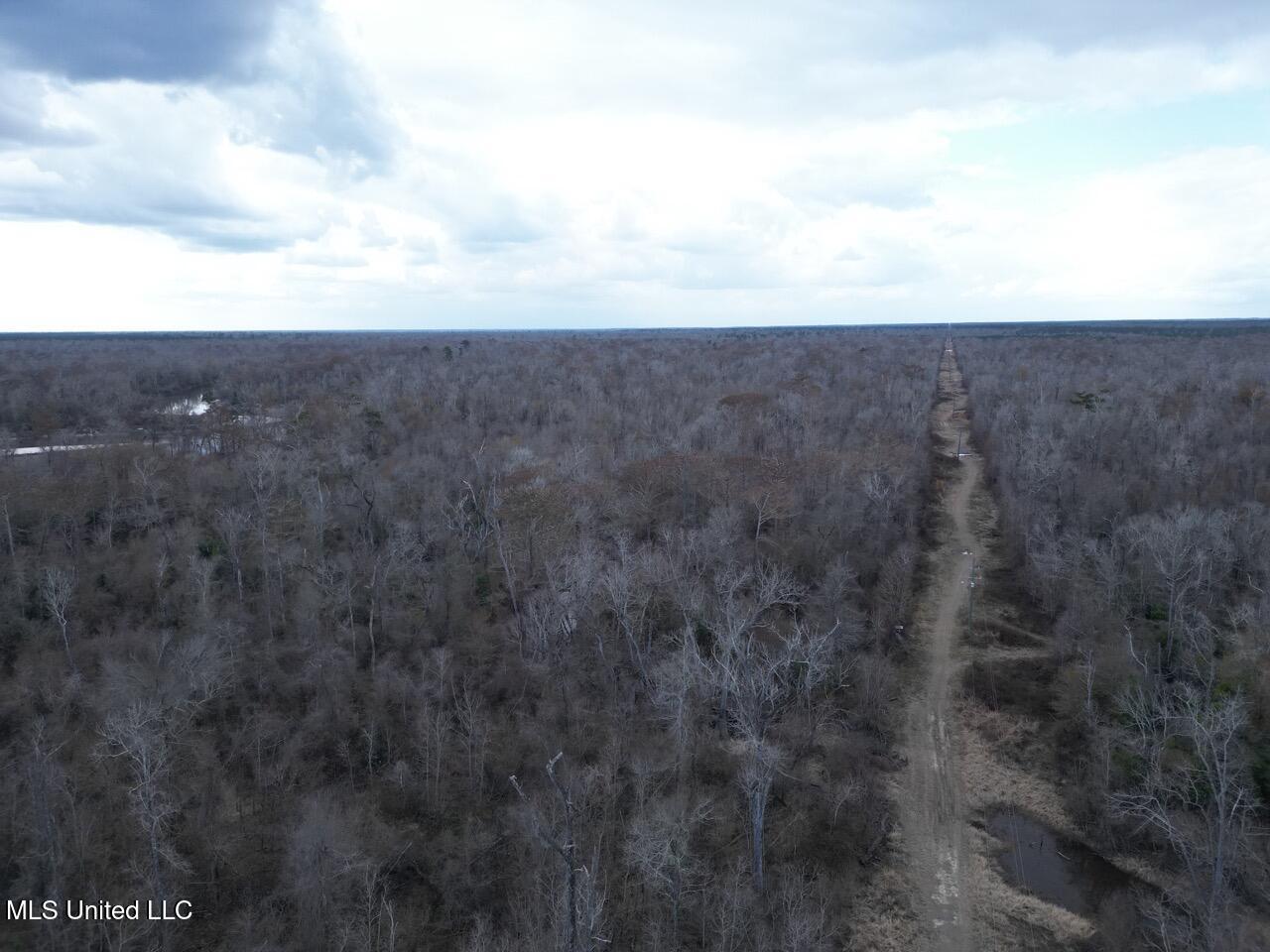 2600 Martin Tram Road Property Photo 6