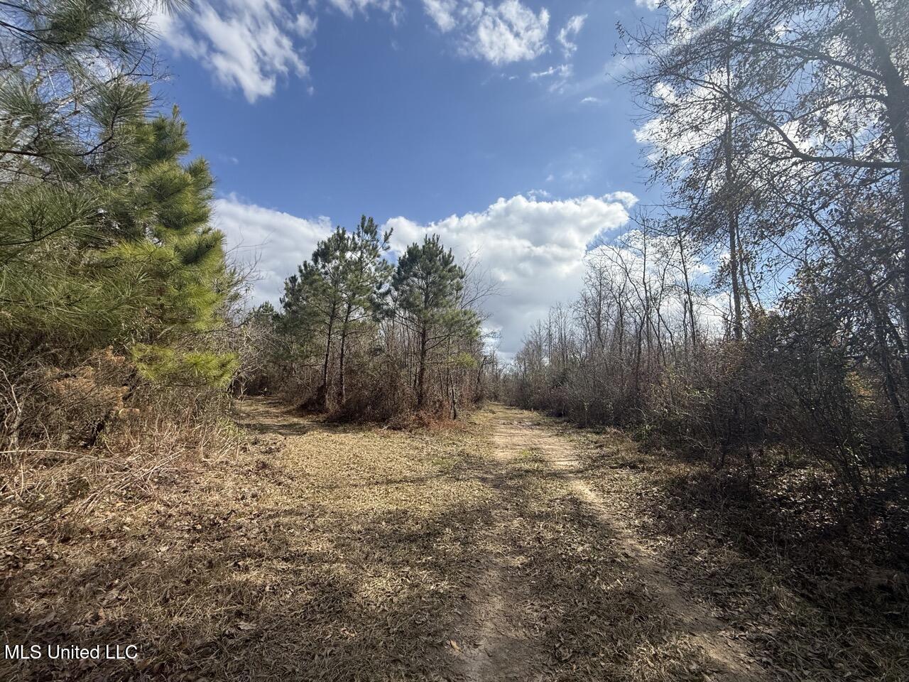 2600 Martin Tram Road Property Photo 14