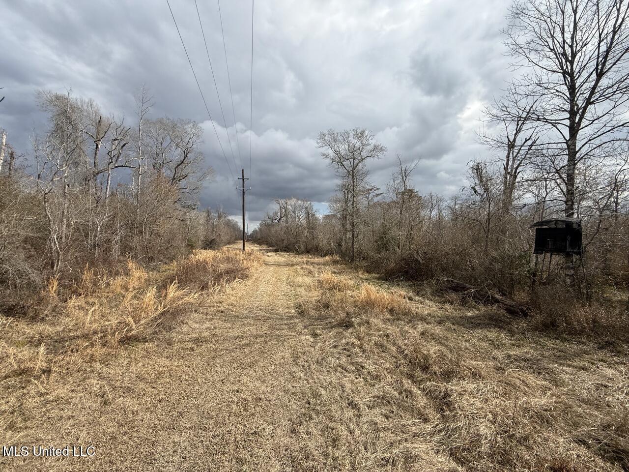 2600 Martin Tram Road Property Photo 15