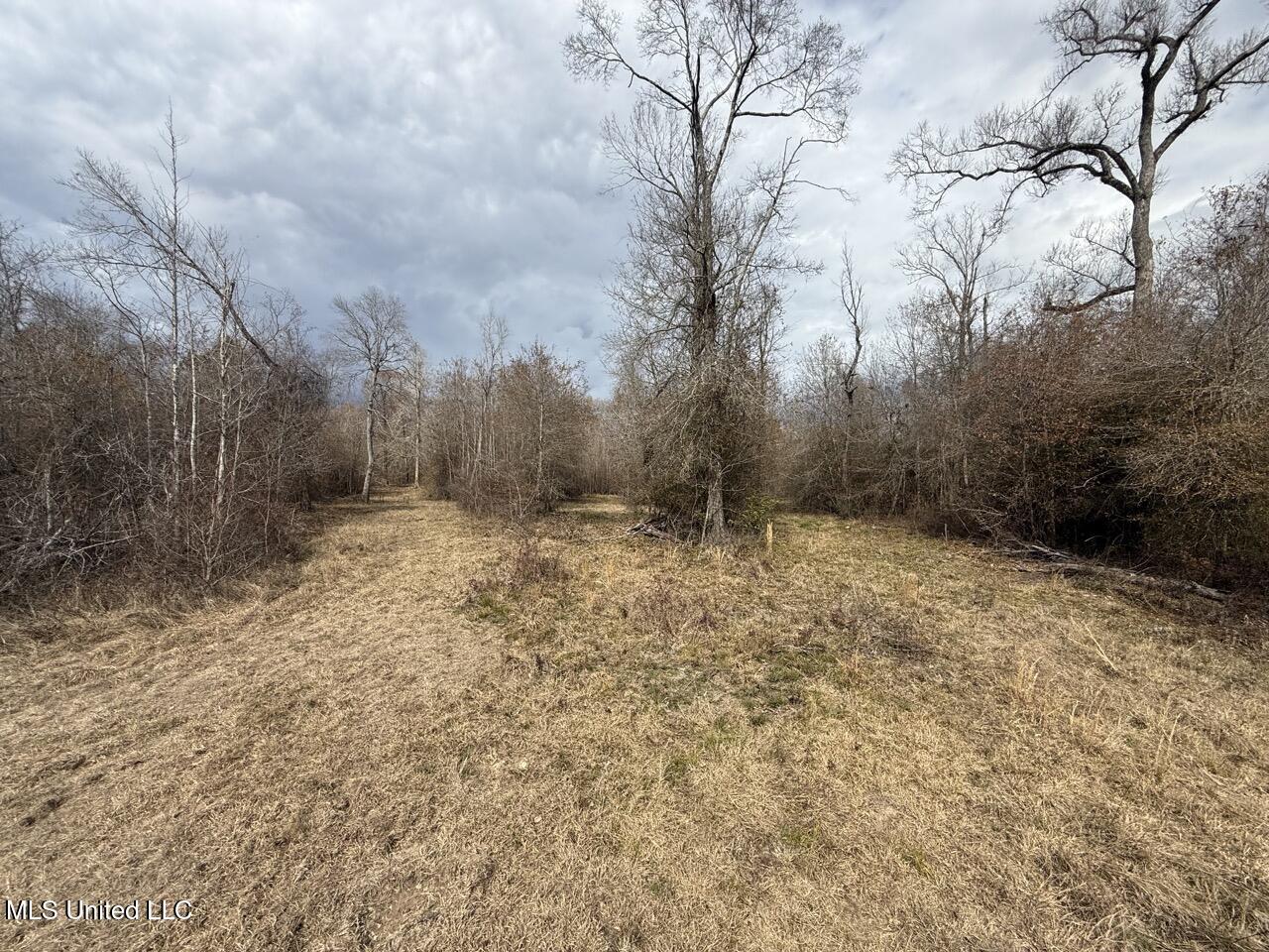 2600 Martin Tram Road Property Photo 16