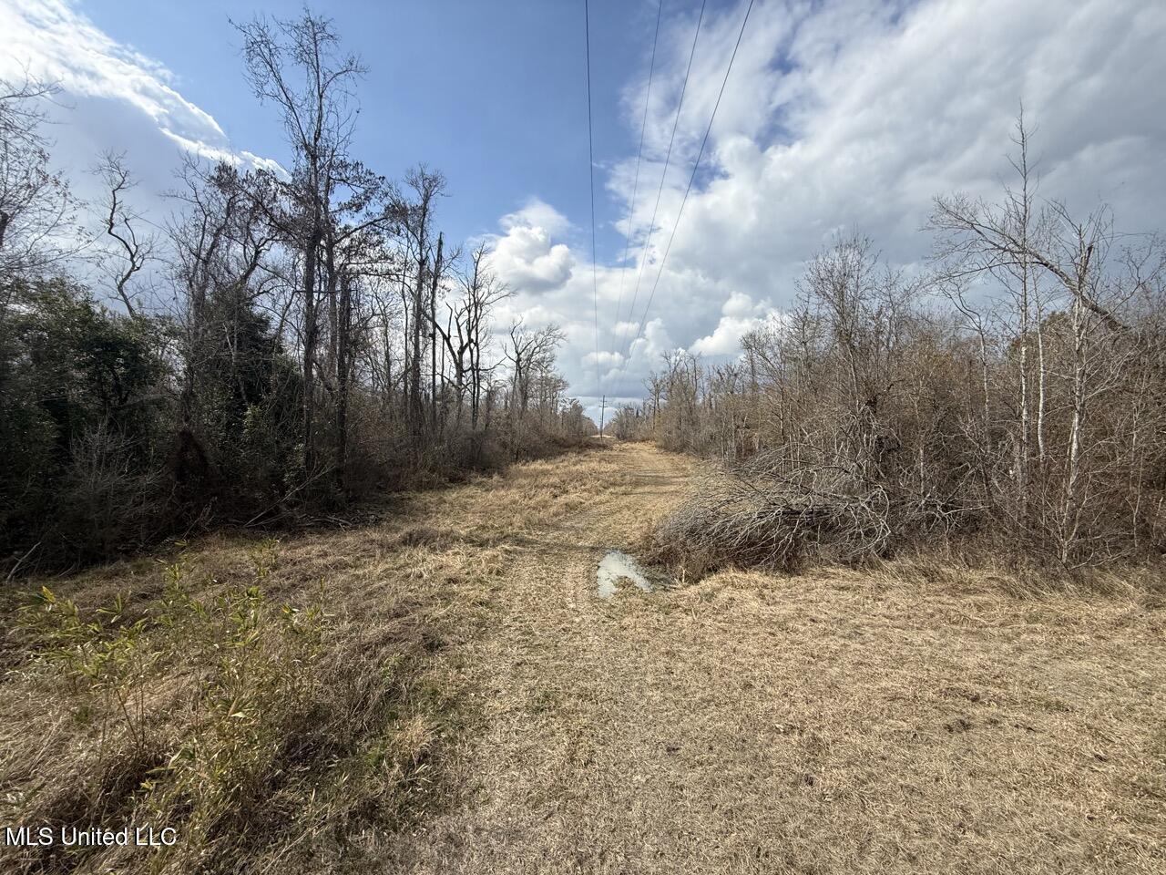 2600 Martin Tram Road Property Photo 17