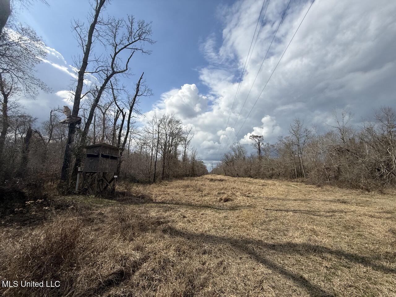 2600 Martin Tram Road Property Photo 18