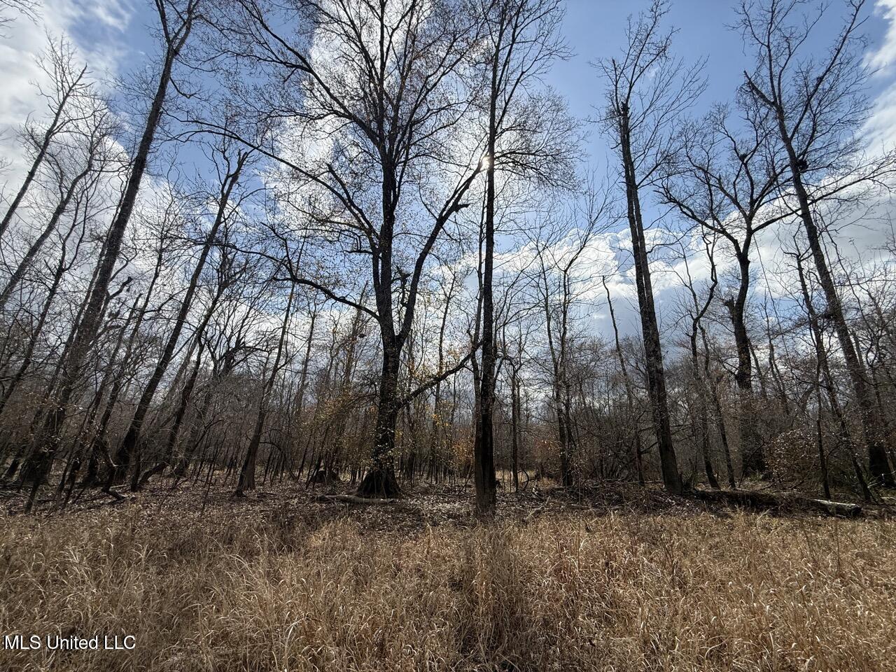 2600 Martin Tram Road Property Photo 19
