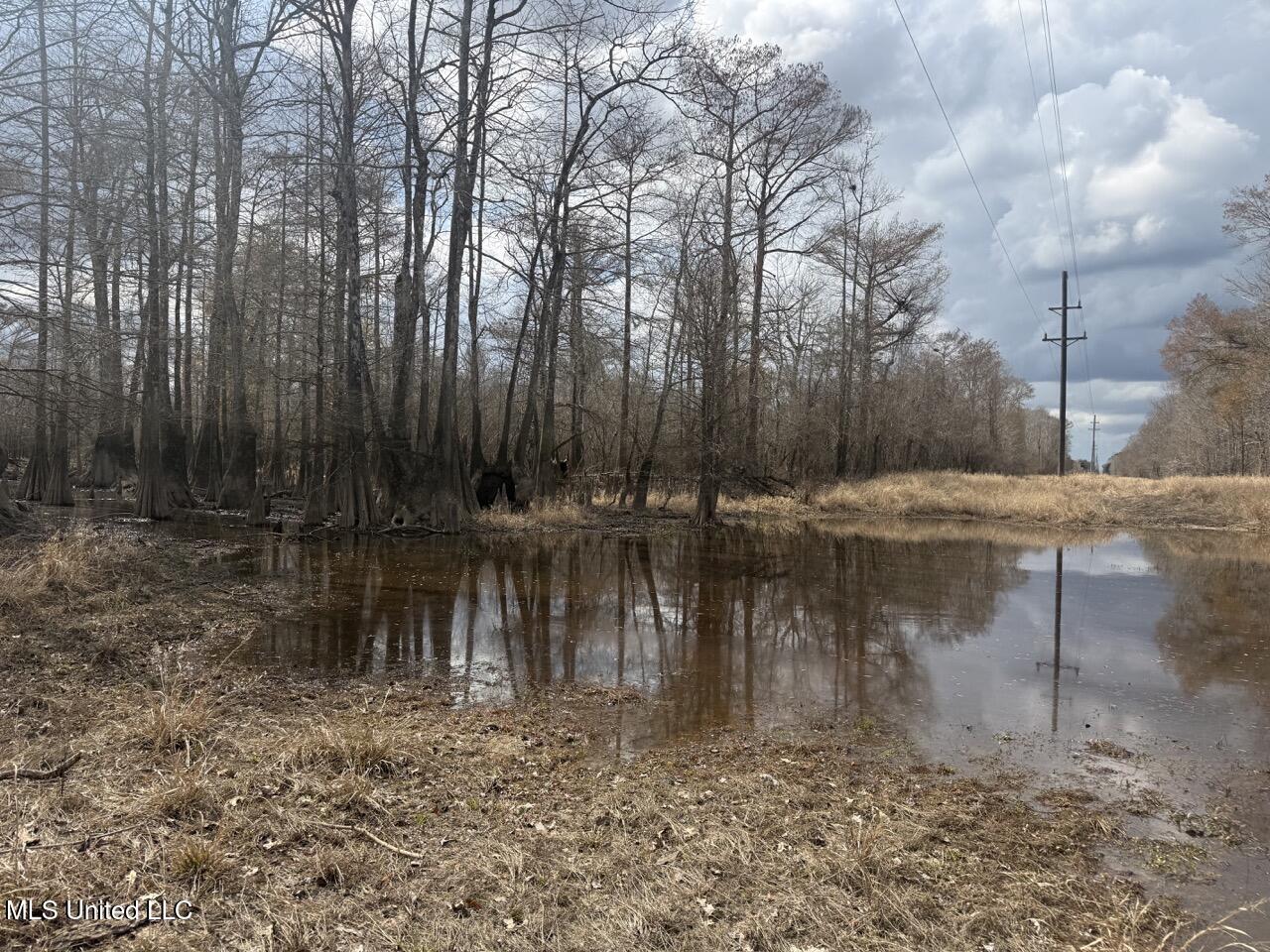 2600 Martin Tram Road Property Photo 21
