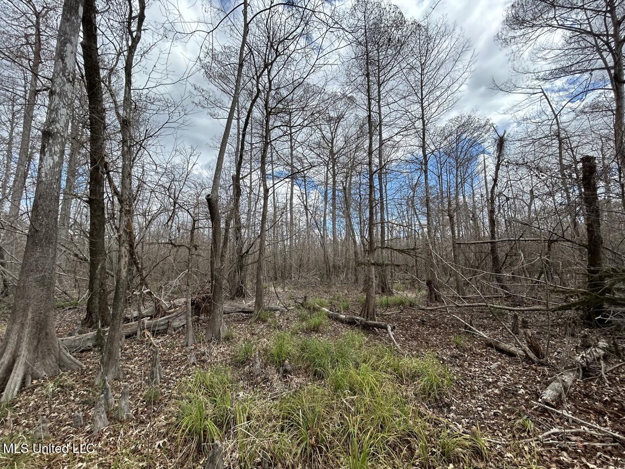 2600 Martin Tram Road Property Photo 23
