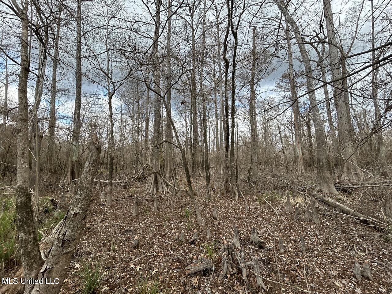 2600 Martin Tram Road Property Photo 24