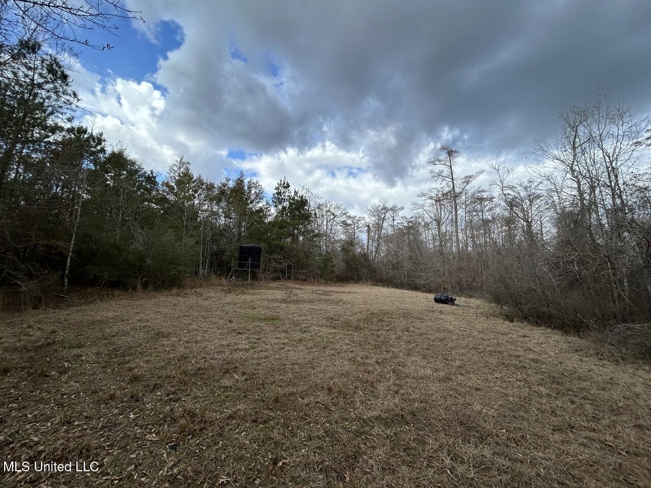 2600 Martin Tram Road Property Photo 27
