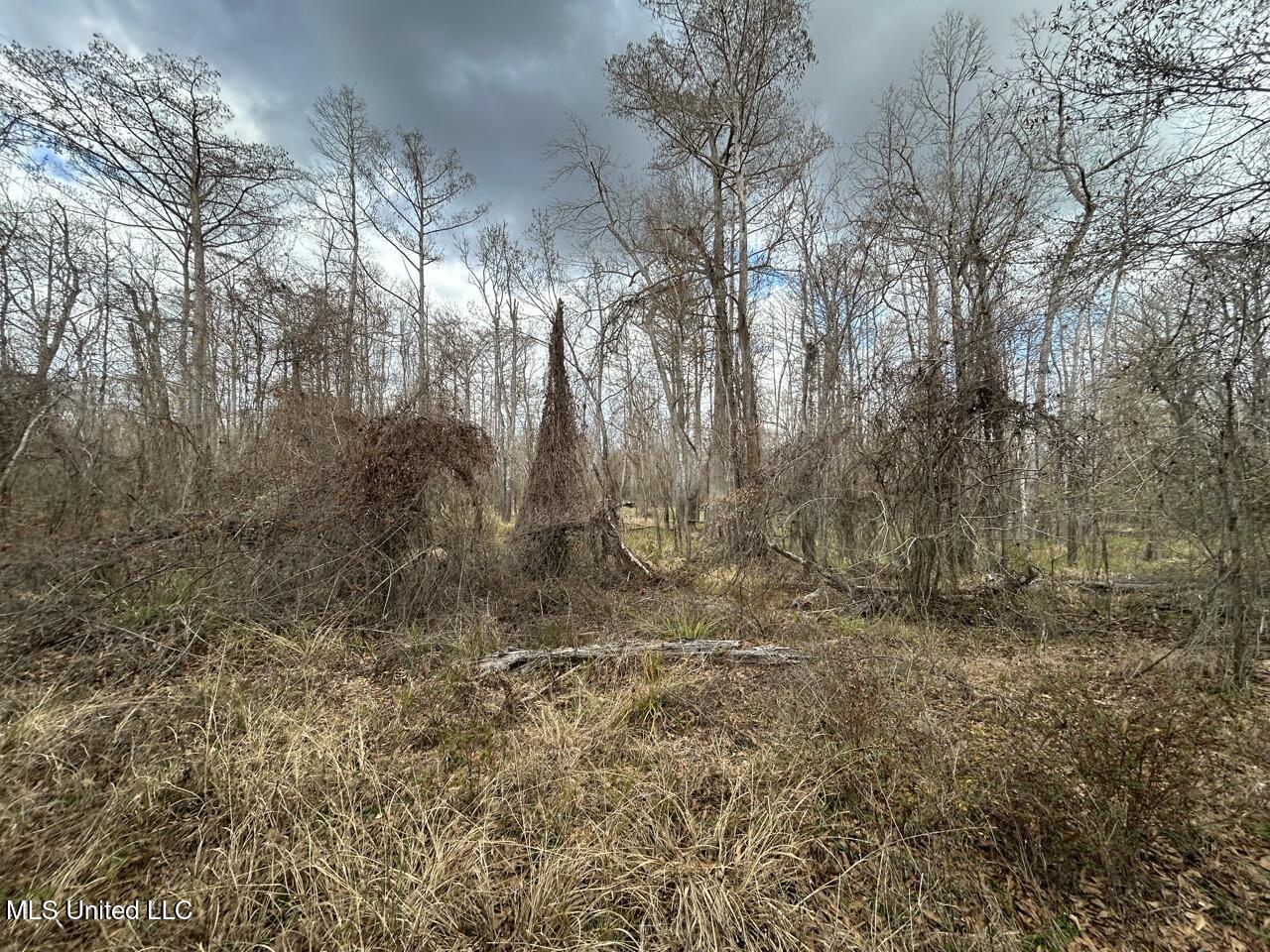 2600 Martin Tram Road Property Photo 28