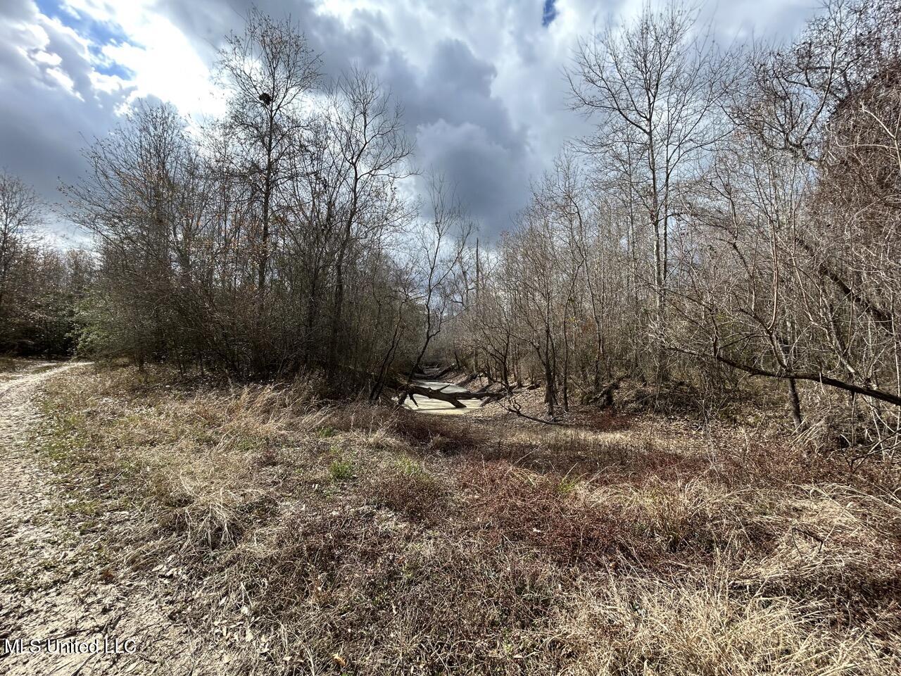 2600 Martin Tram Road Property Photo 29