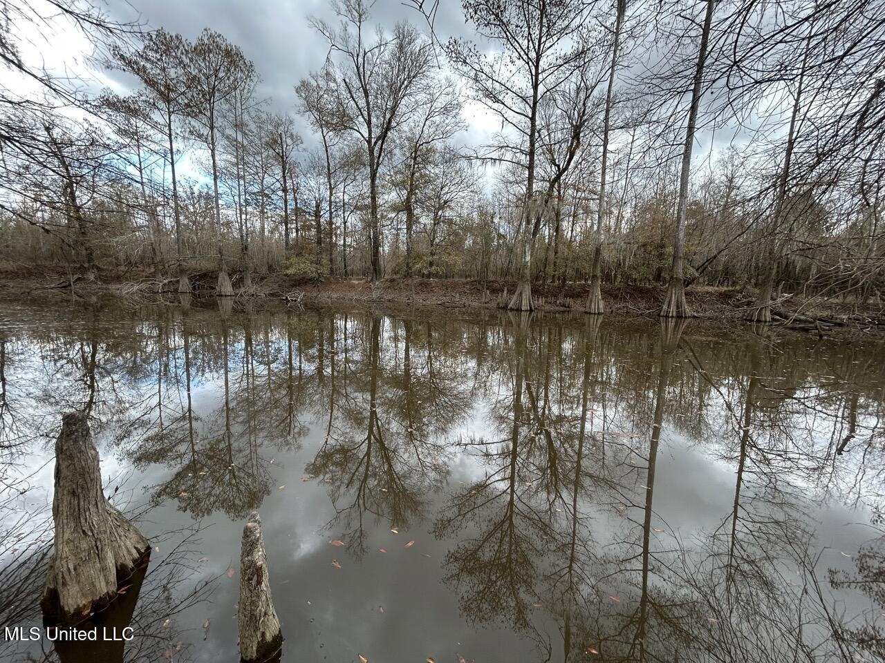 2600 Martin Tram Road Property Photo 33