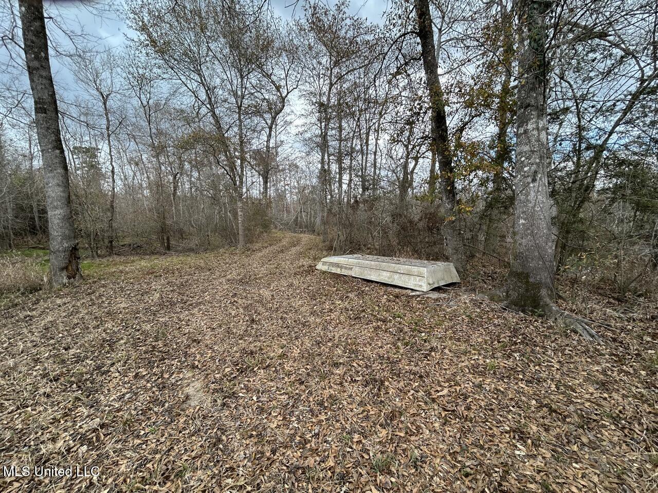 2600 Martin Tram Road Property Photo 35