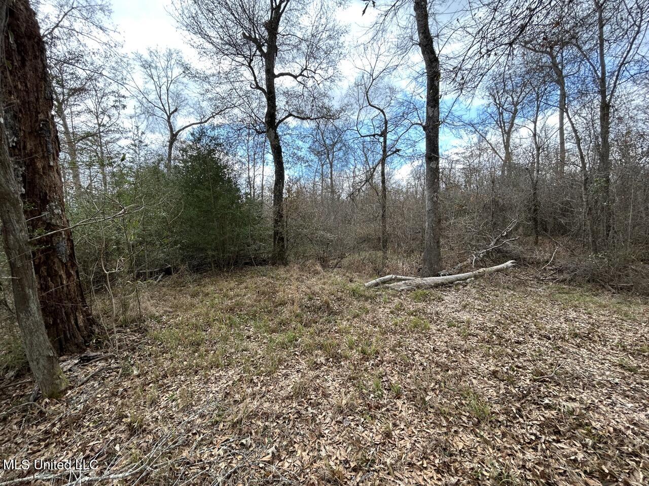 2600 Martin Tram Road Property Photo 36