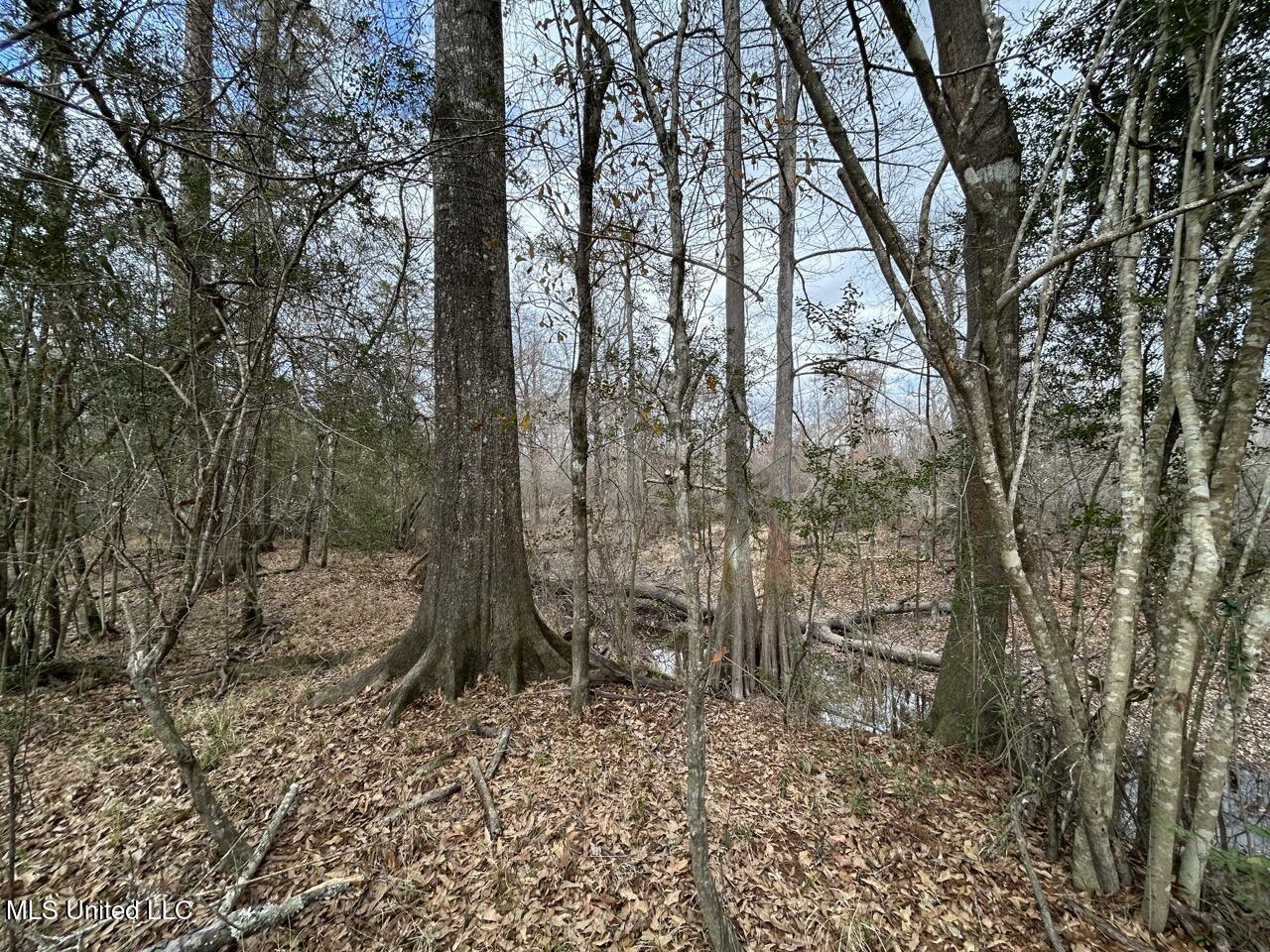 2600 Martin Tram Road Property Photo 37