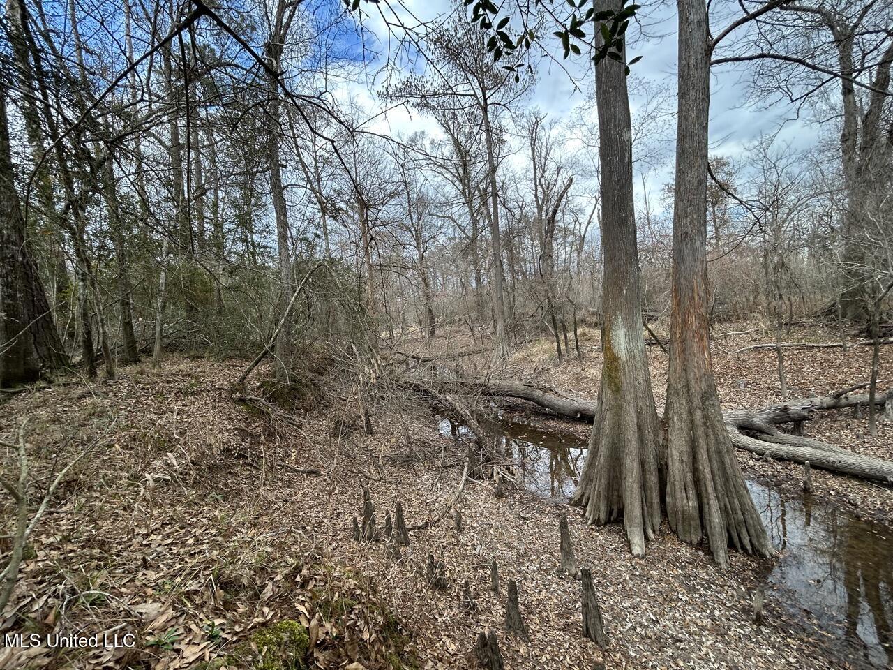 2600 Martin Tram Road Property Photo 38