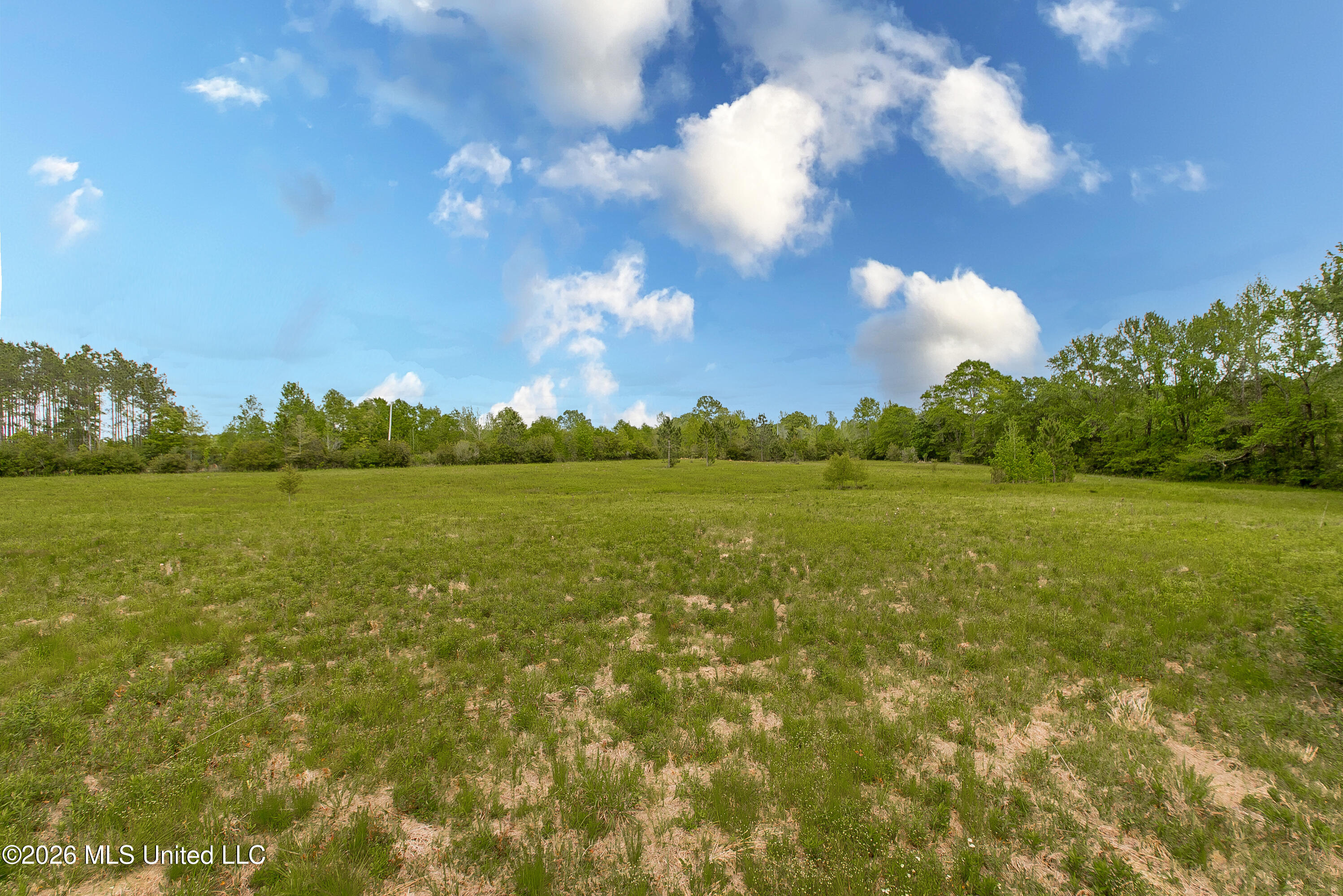 168 Winchester Road Property Photo 41