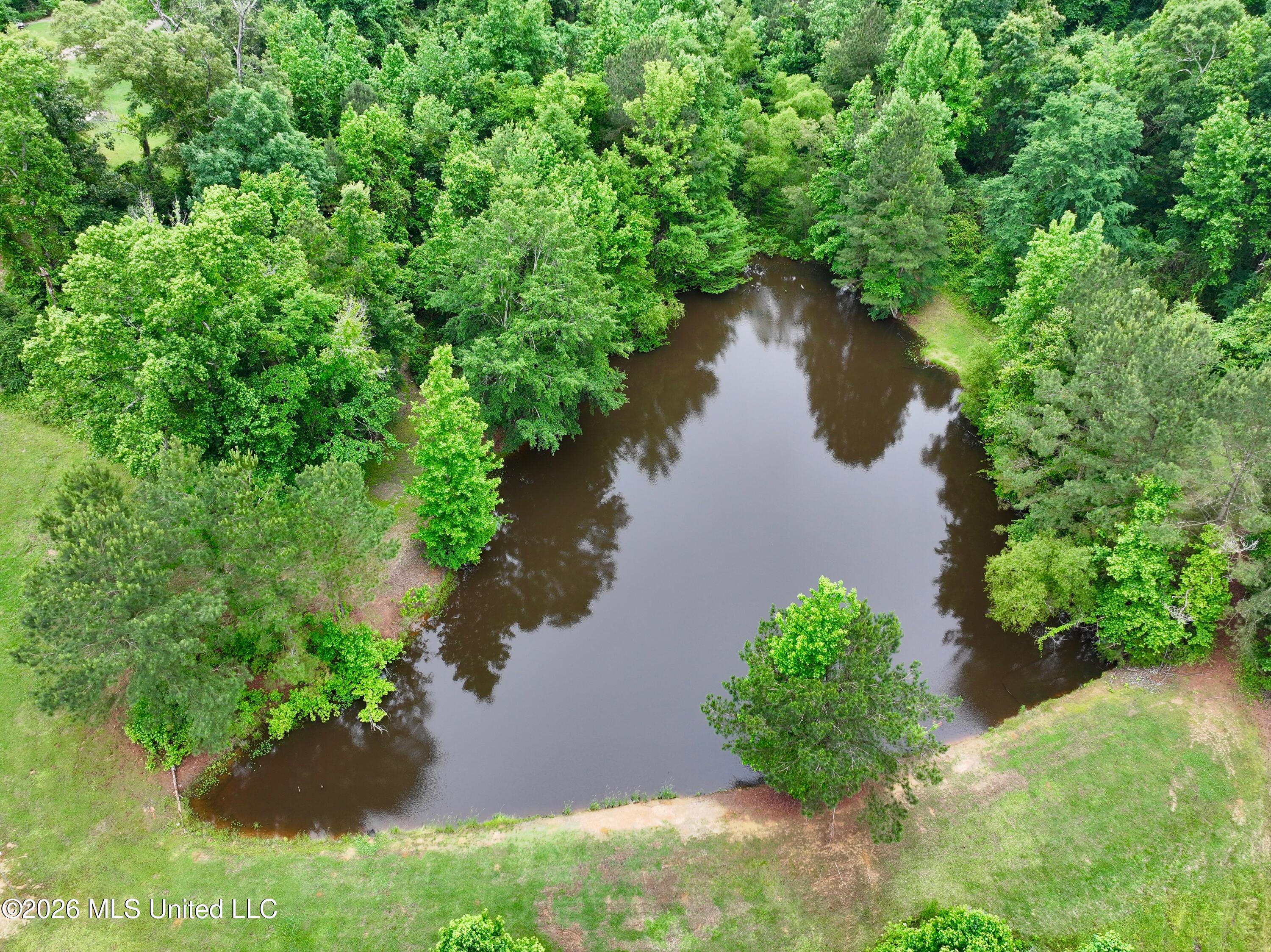 956 Franklin Road Property Photo 7