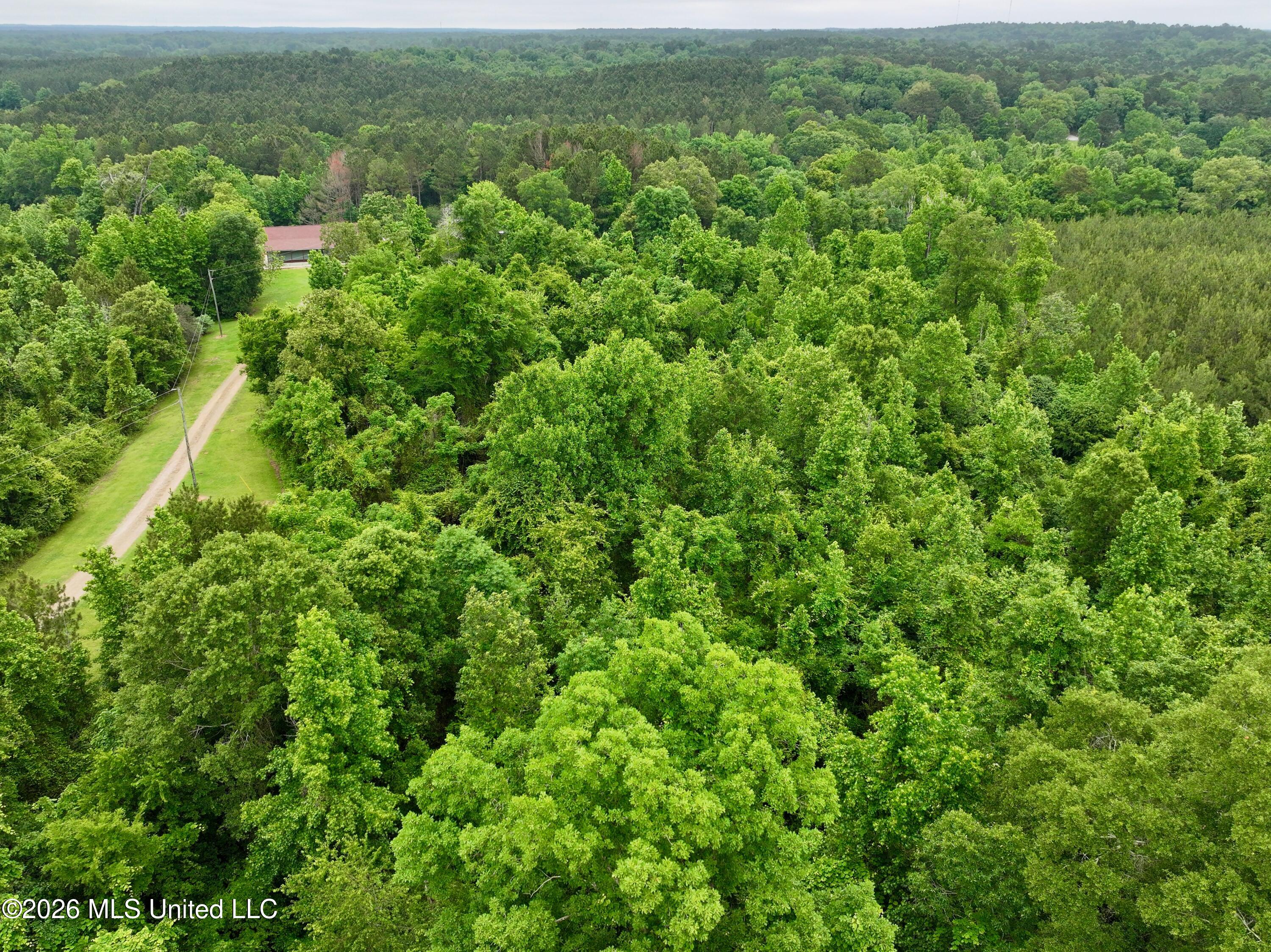 956 Franklin Road Property Photo 8