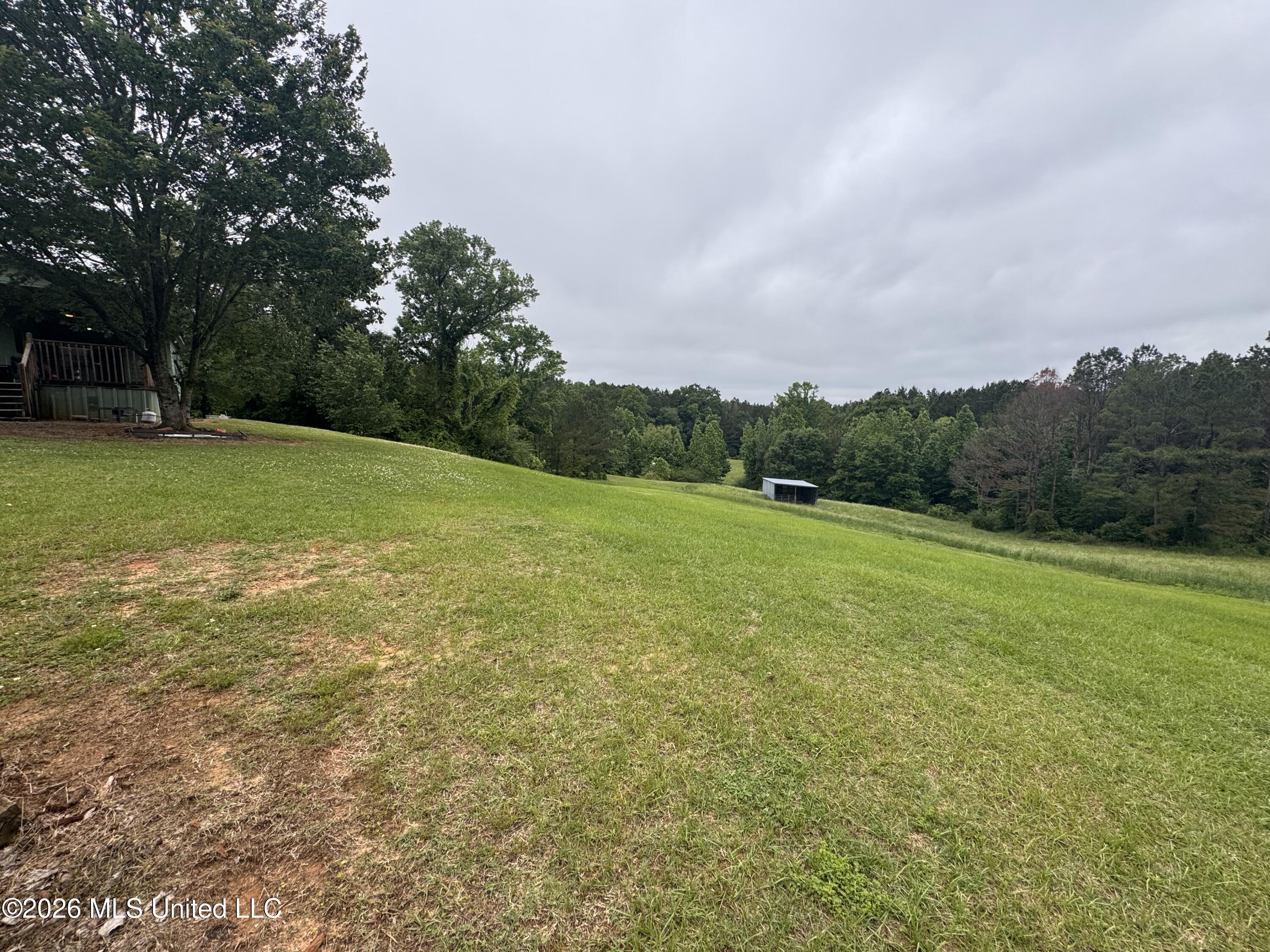 956 Franklin Road Property Photo 27