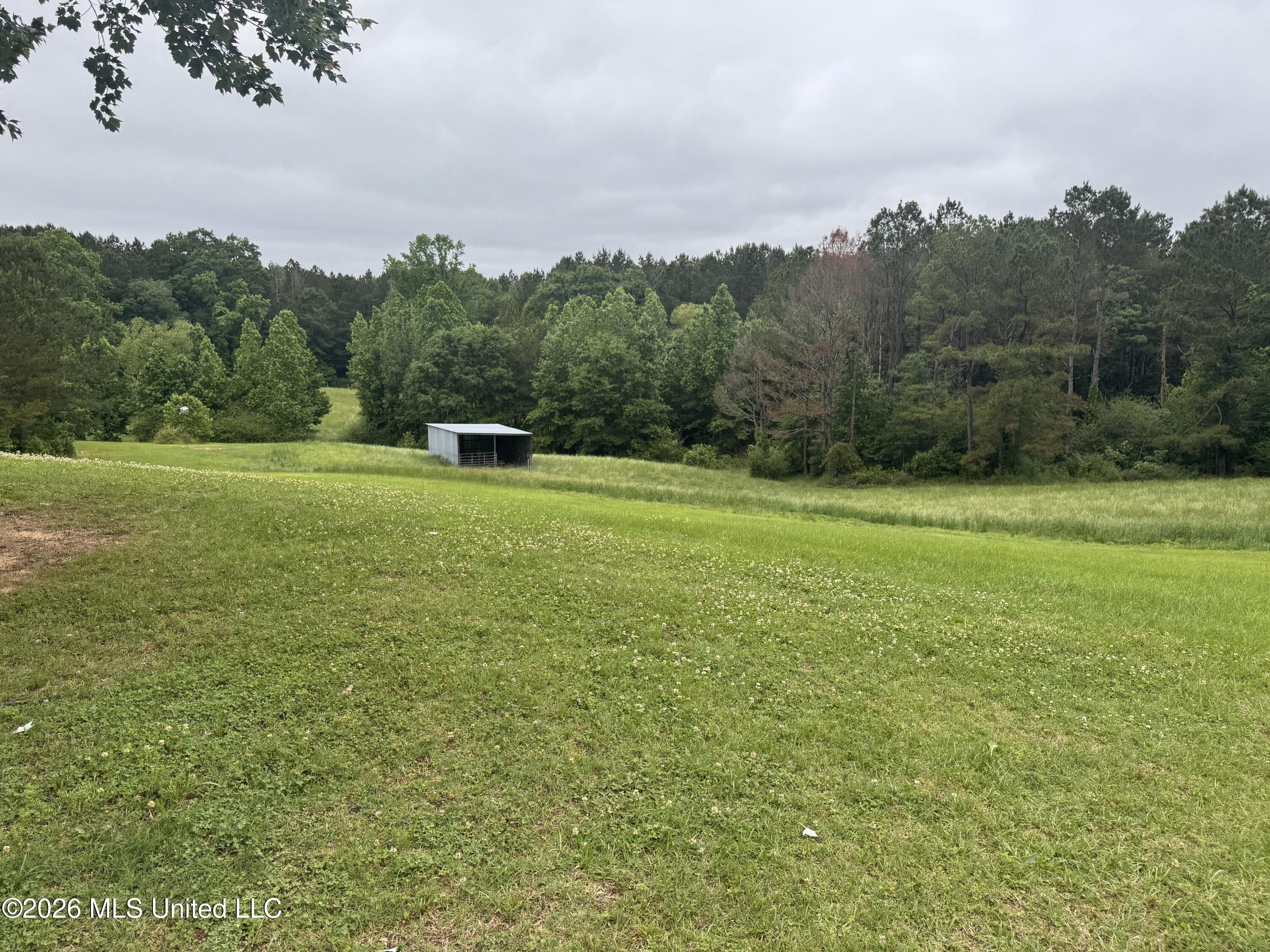 956 Franklin Road Property Photo 28