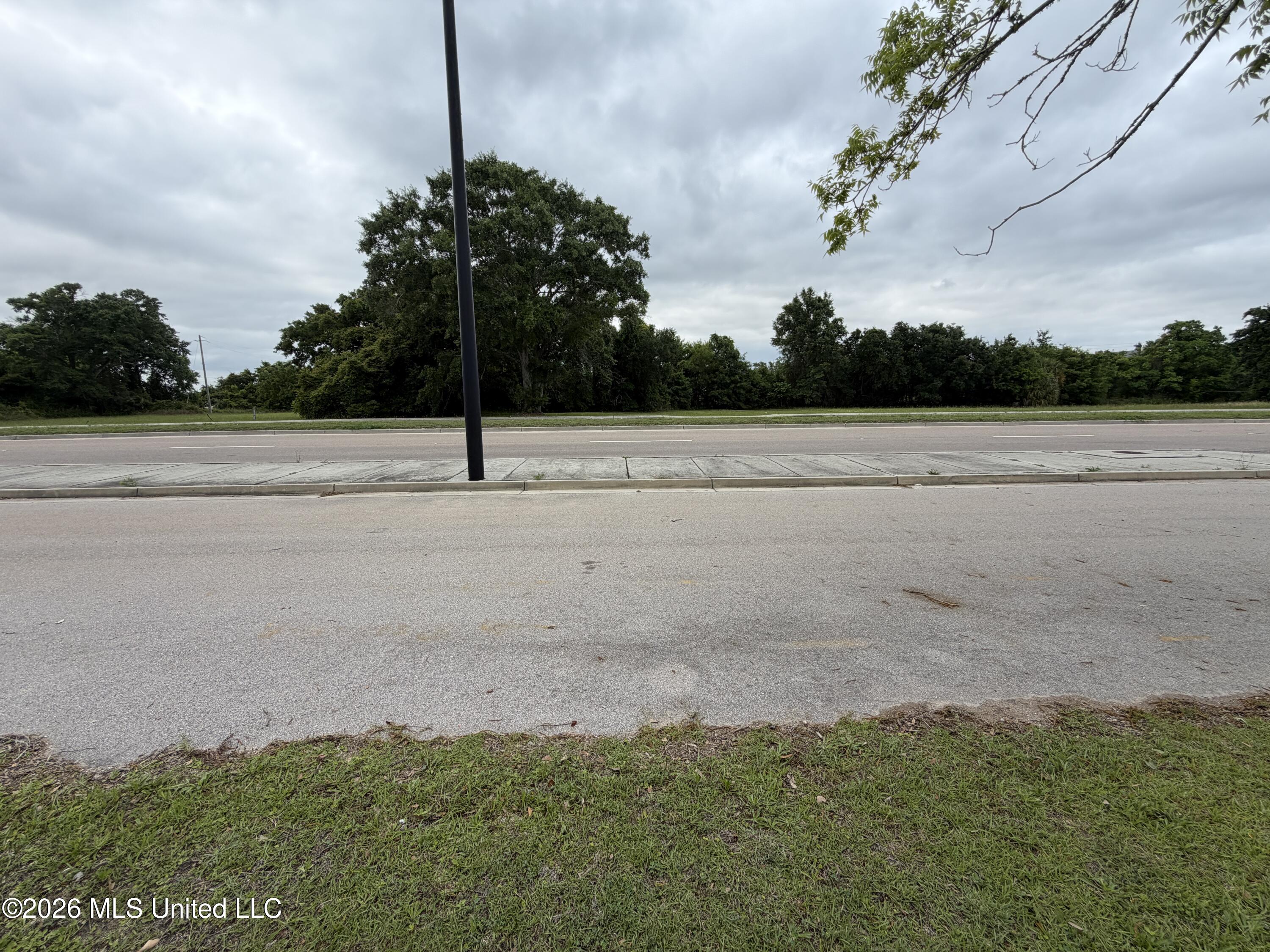 341 Collier Street Property Photo 4