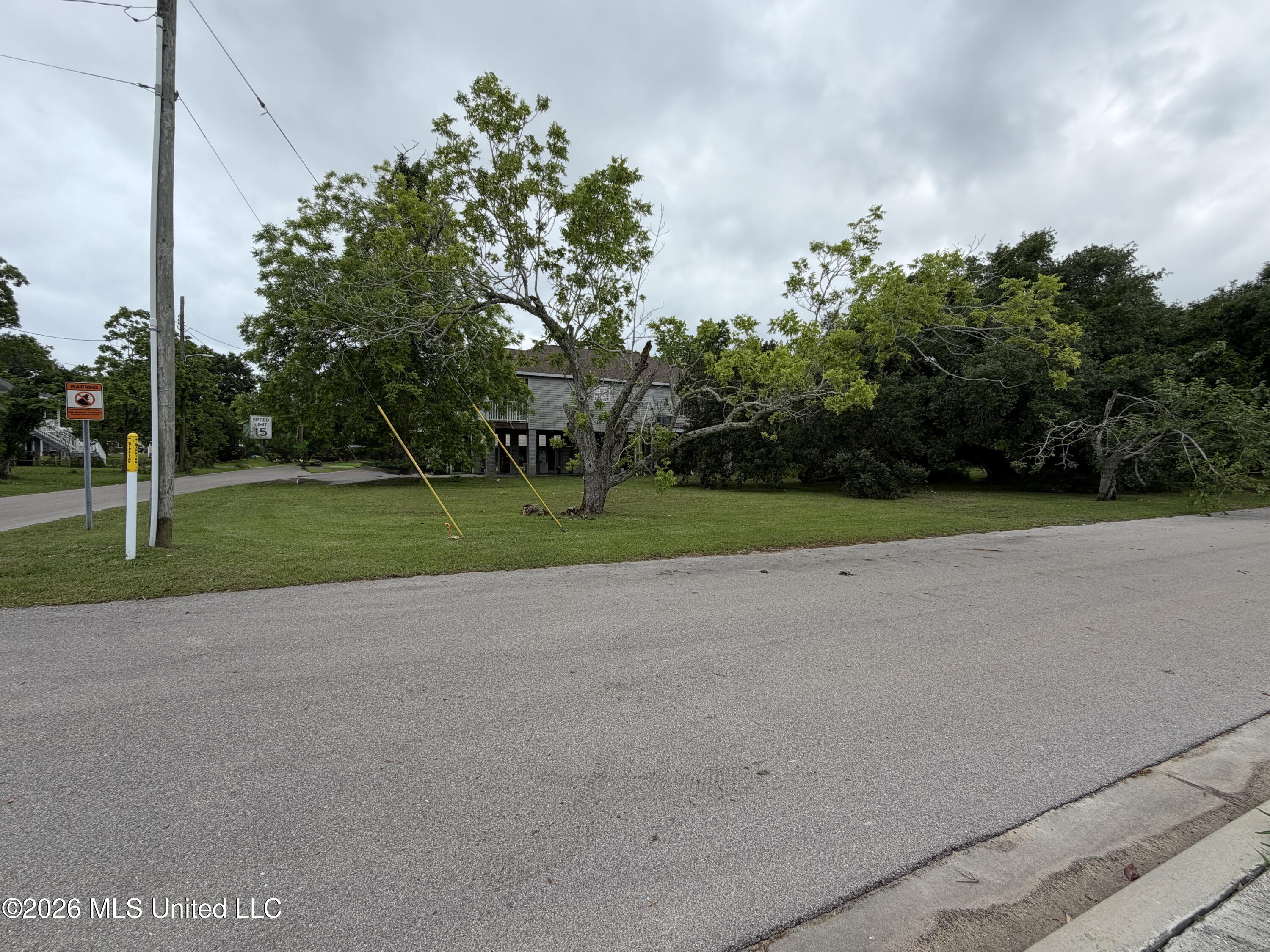 341 Collier Street Property Photo 6