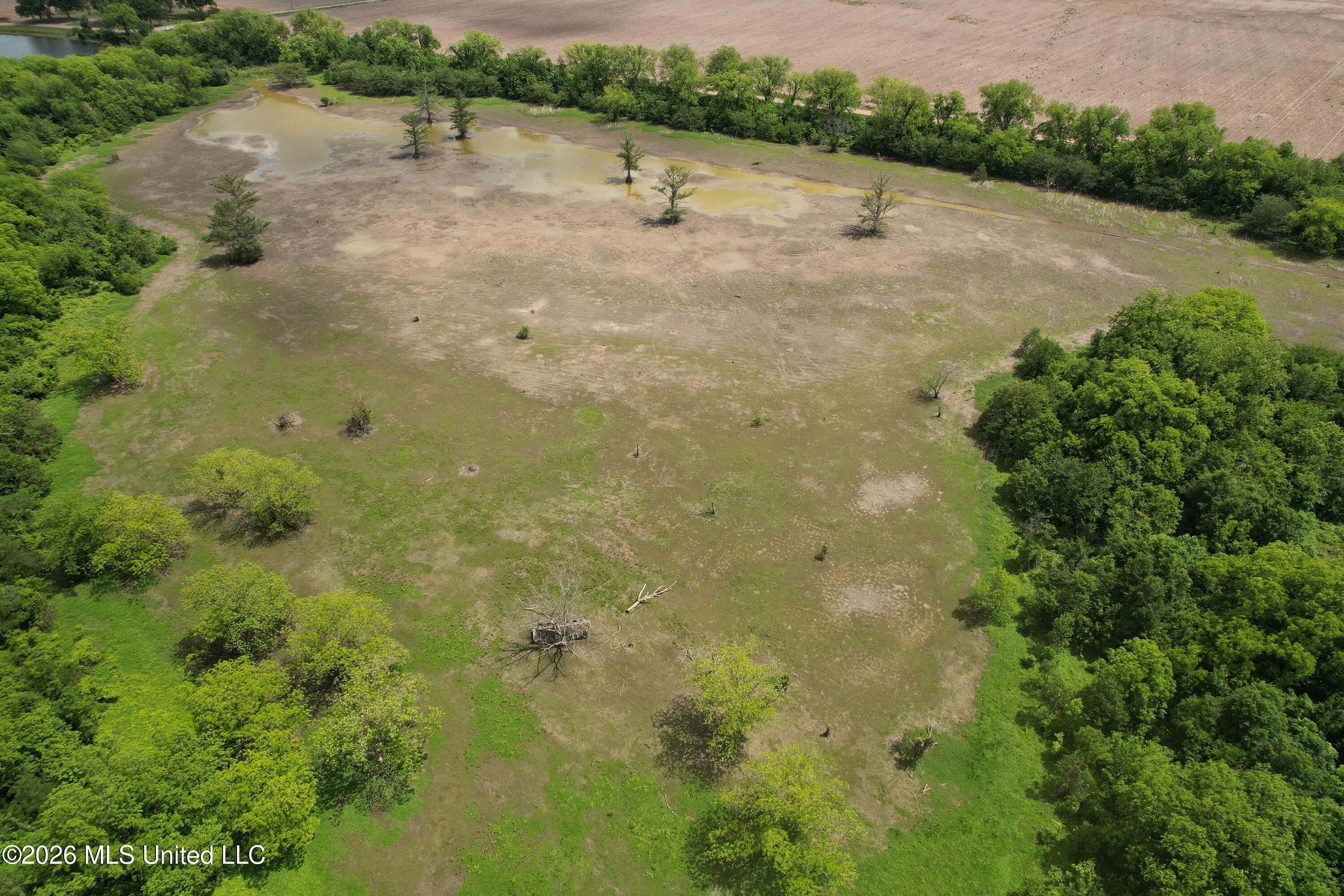 Jenkins Road Property Photo 6