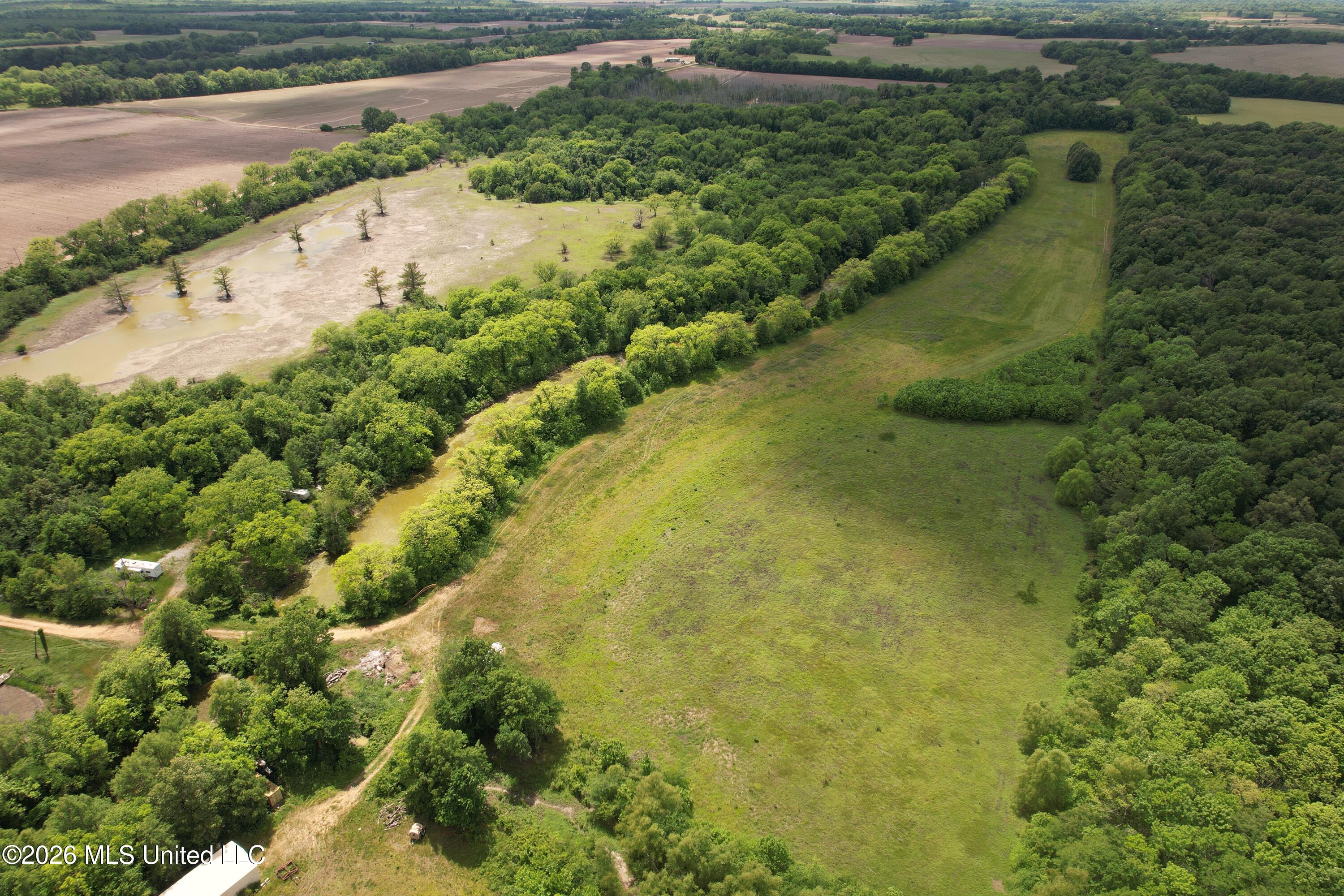 Jenkins Road Property Photo 12