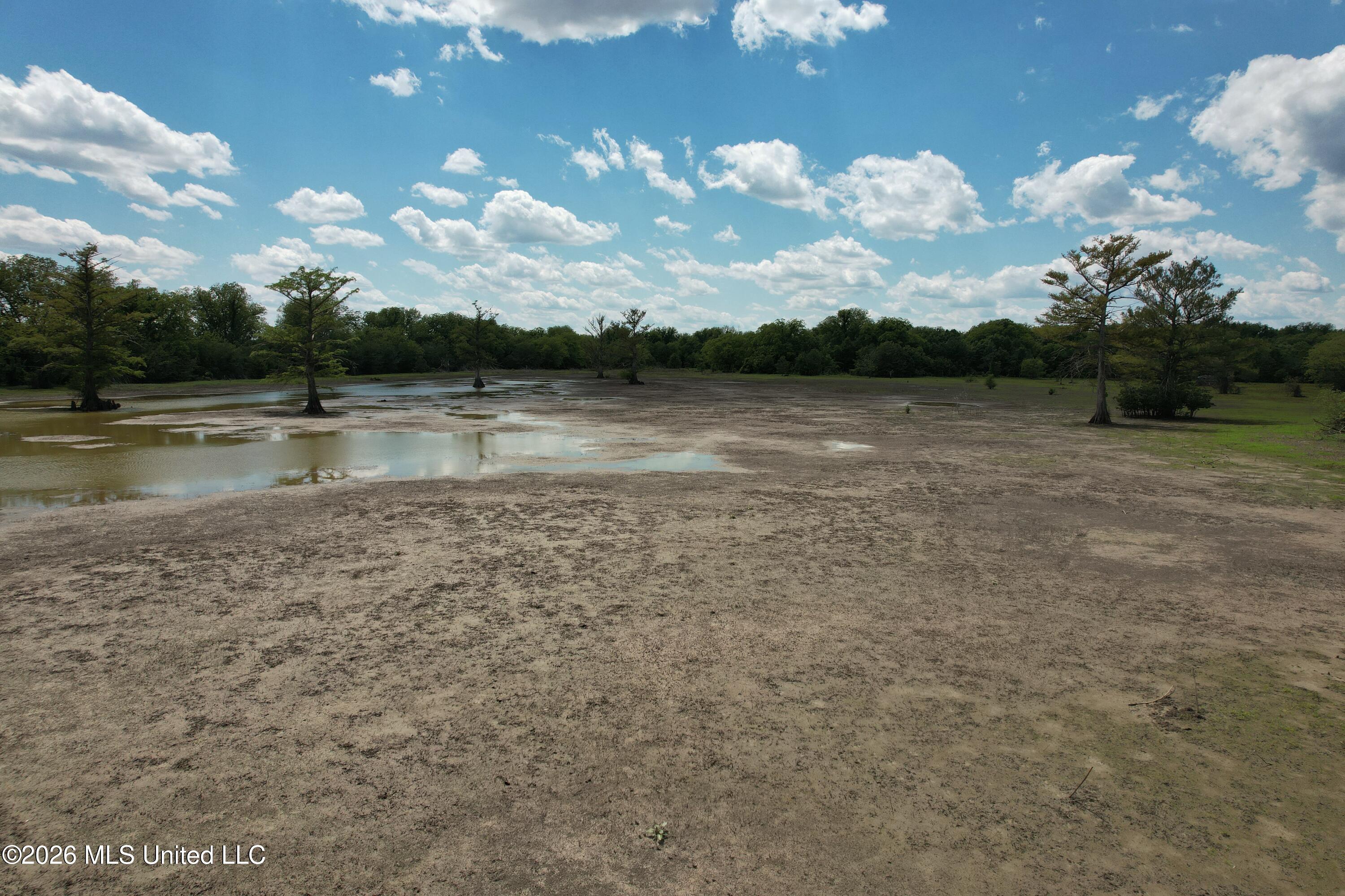 Jenkins Road Property Photo 18