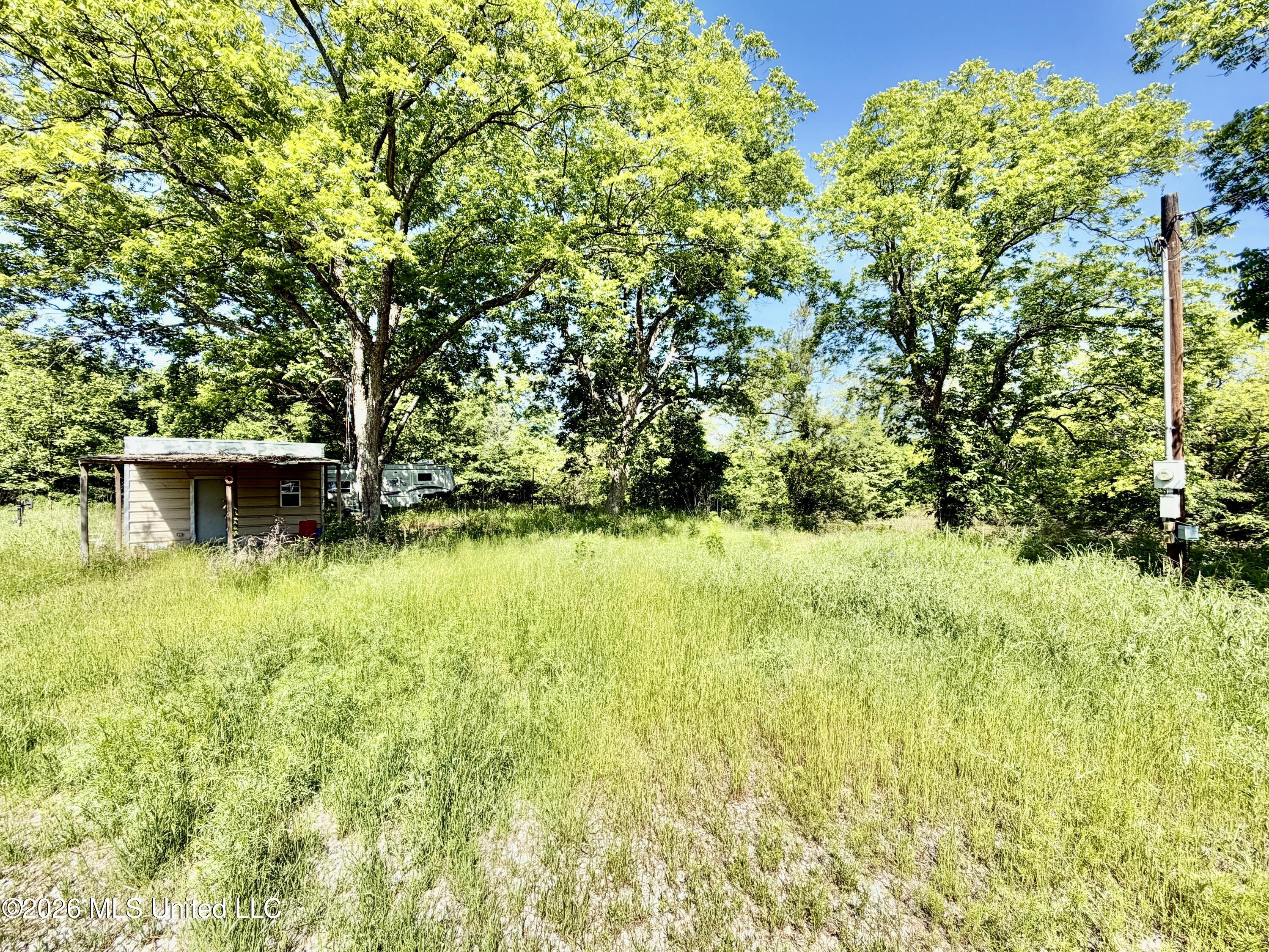 Jenkins Road Property Photo 26