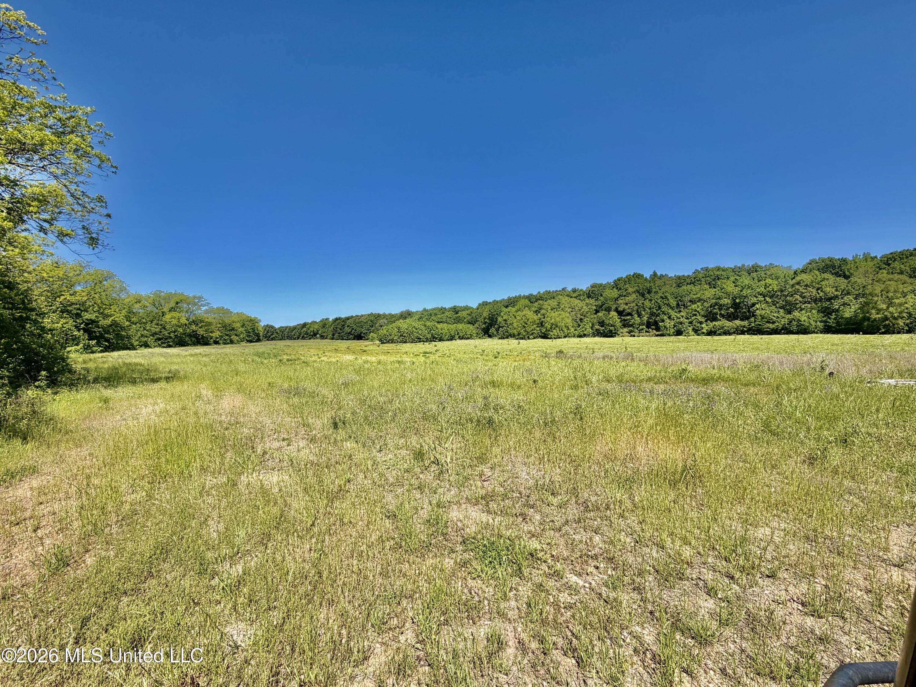 Jenkins Road Property Photo 30