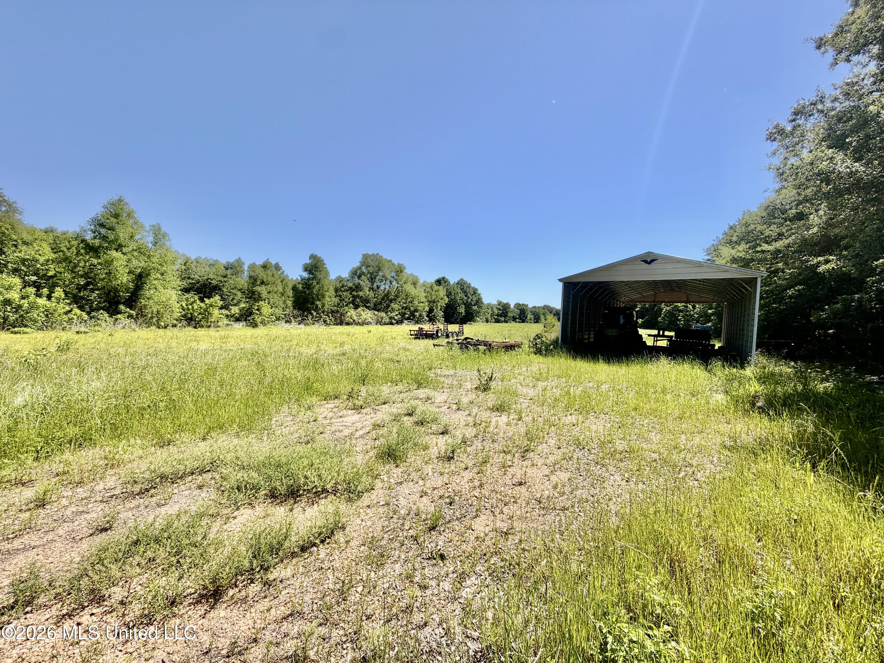 Jenkins Road Property Photo 31
