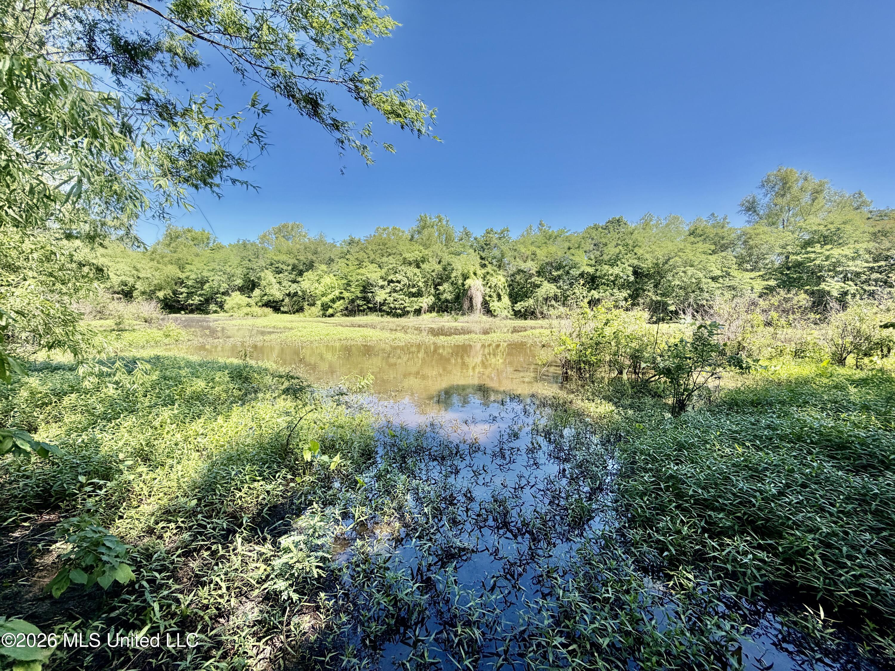 Jenkins Road Property Photo 32