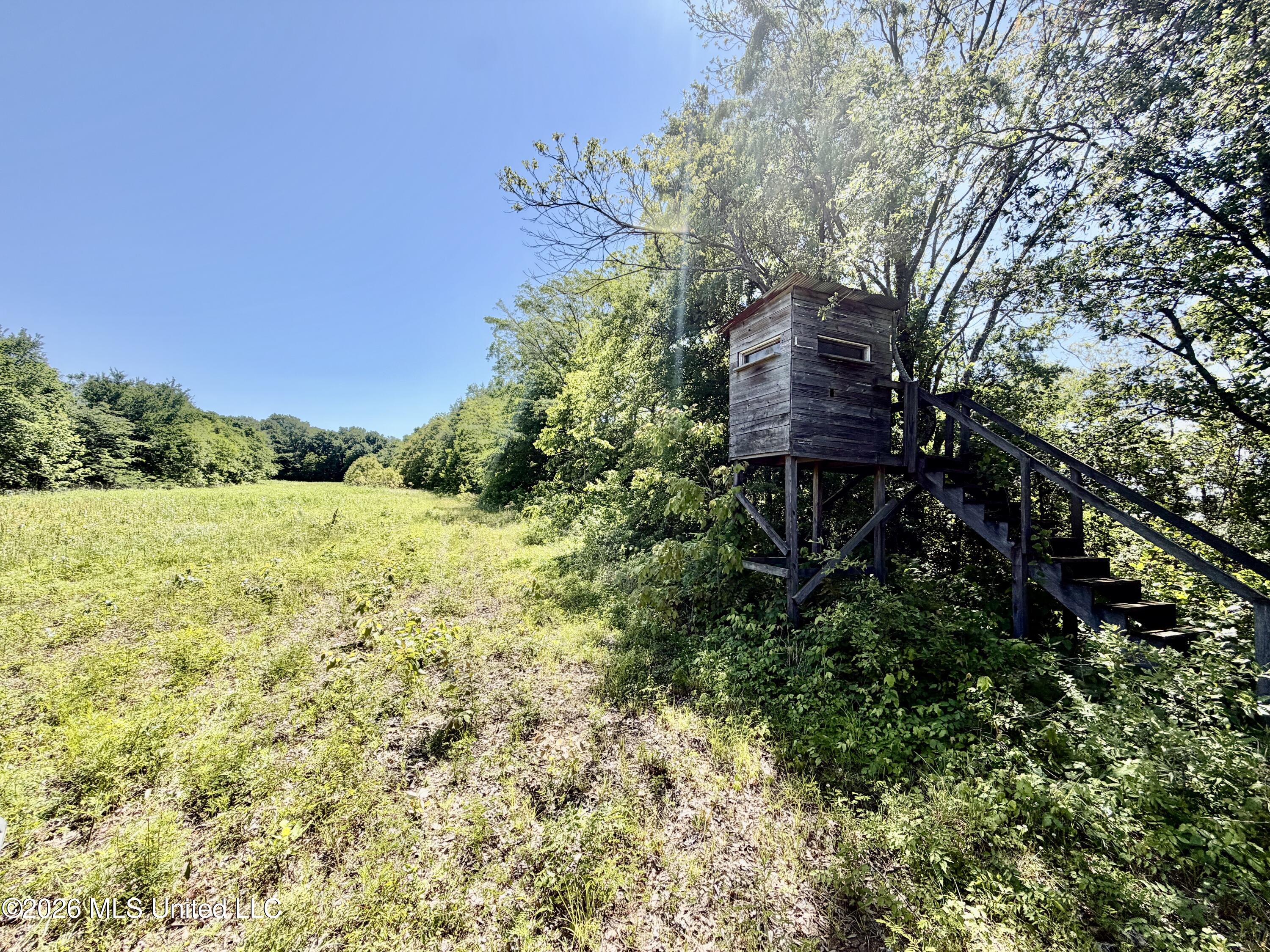 Jenkins Road Property Photo 33