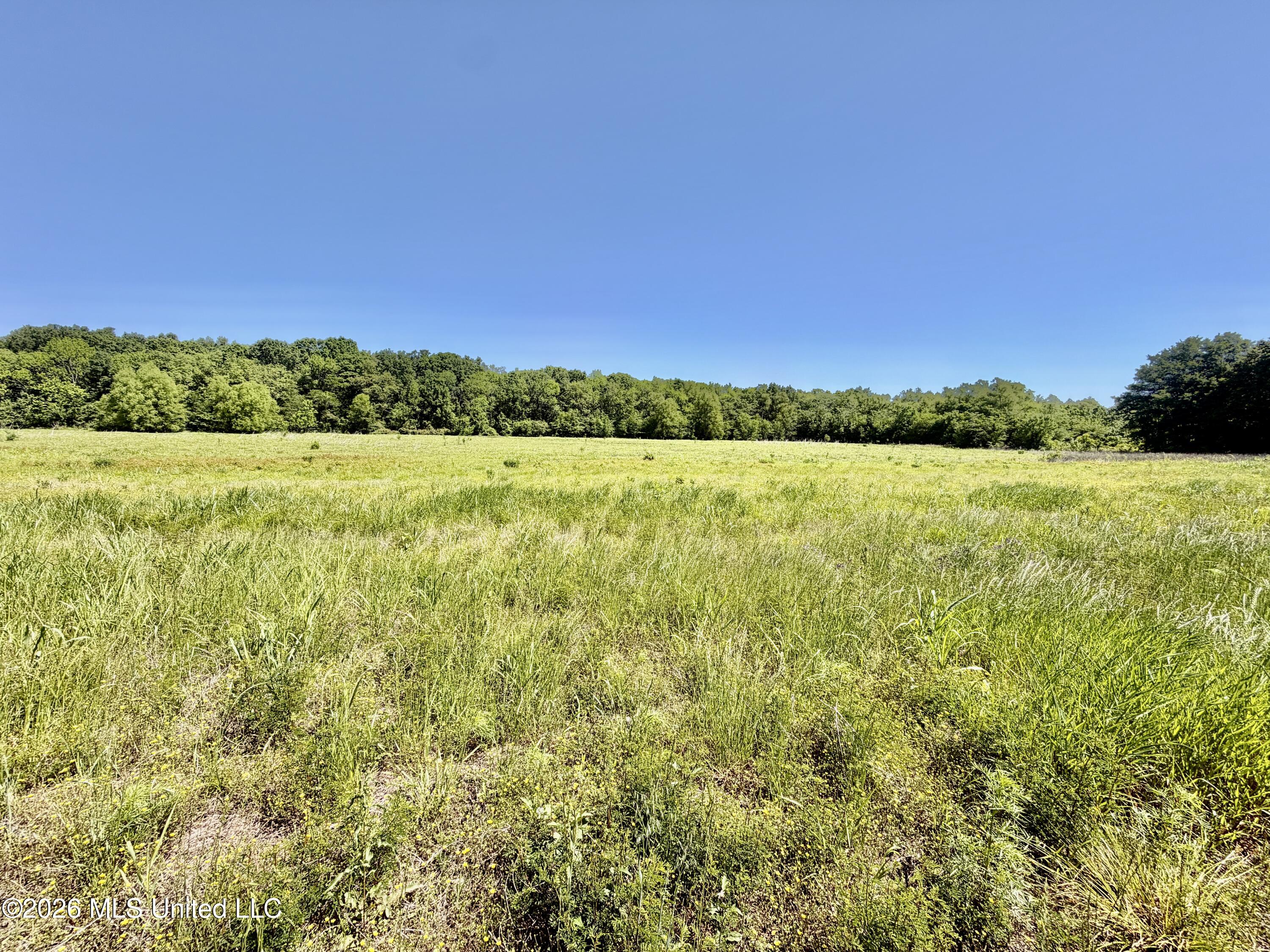 Jenkins Road Property Photo 36