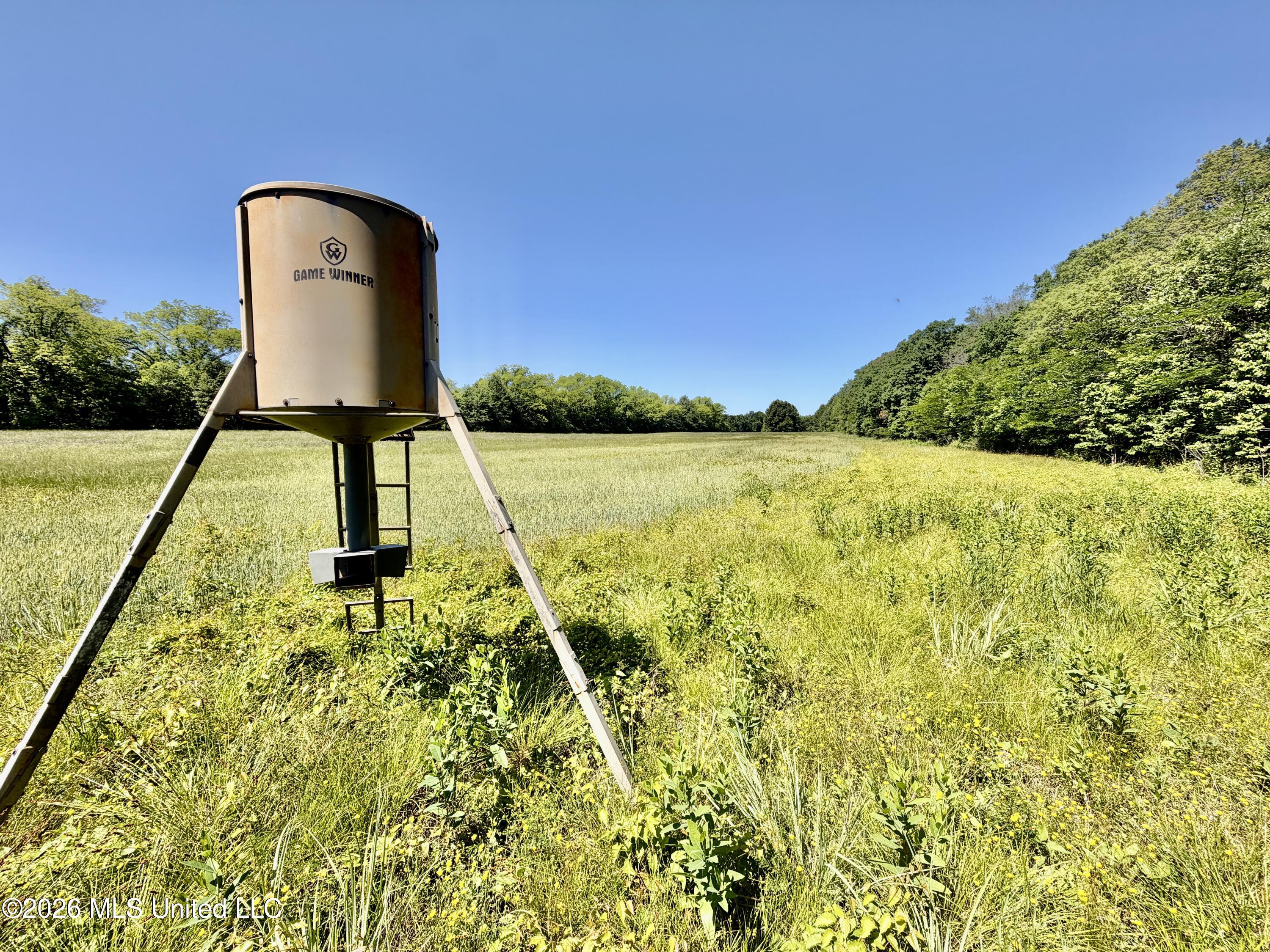 Jenkins Road Property Photo 37