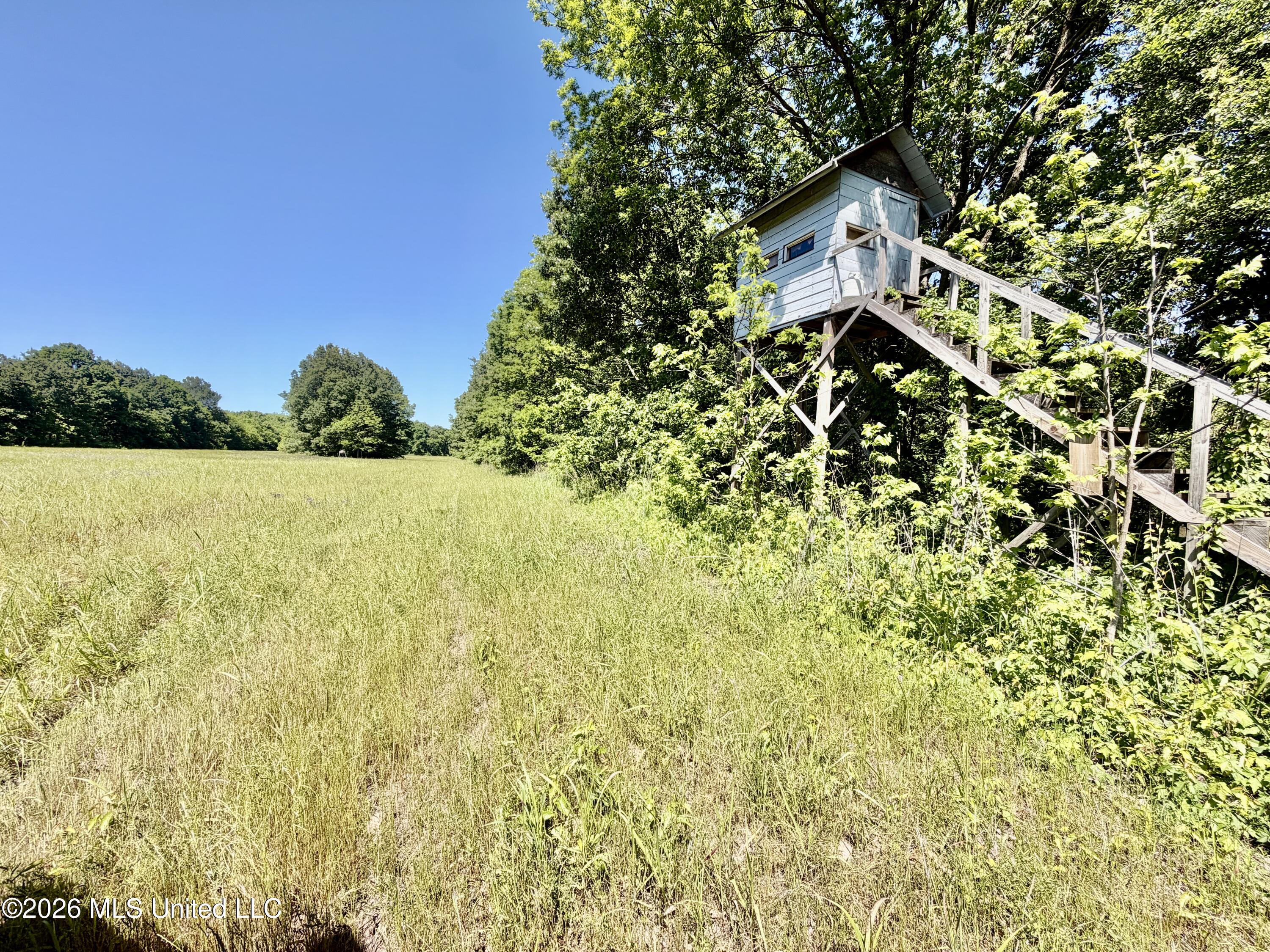 Jenkins Road Property Photo 38