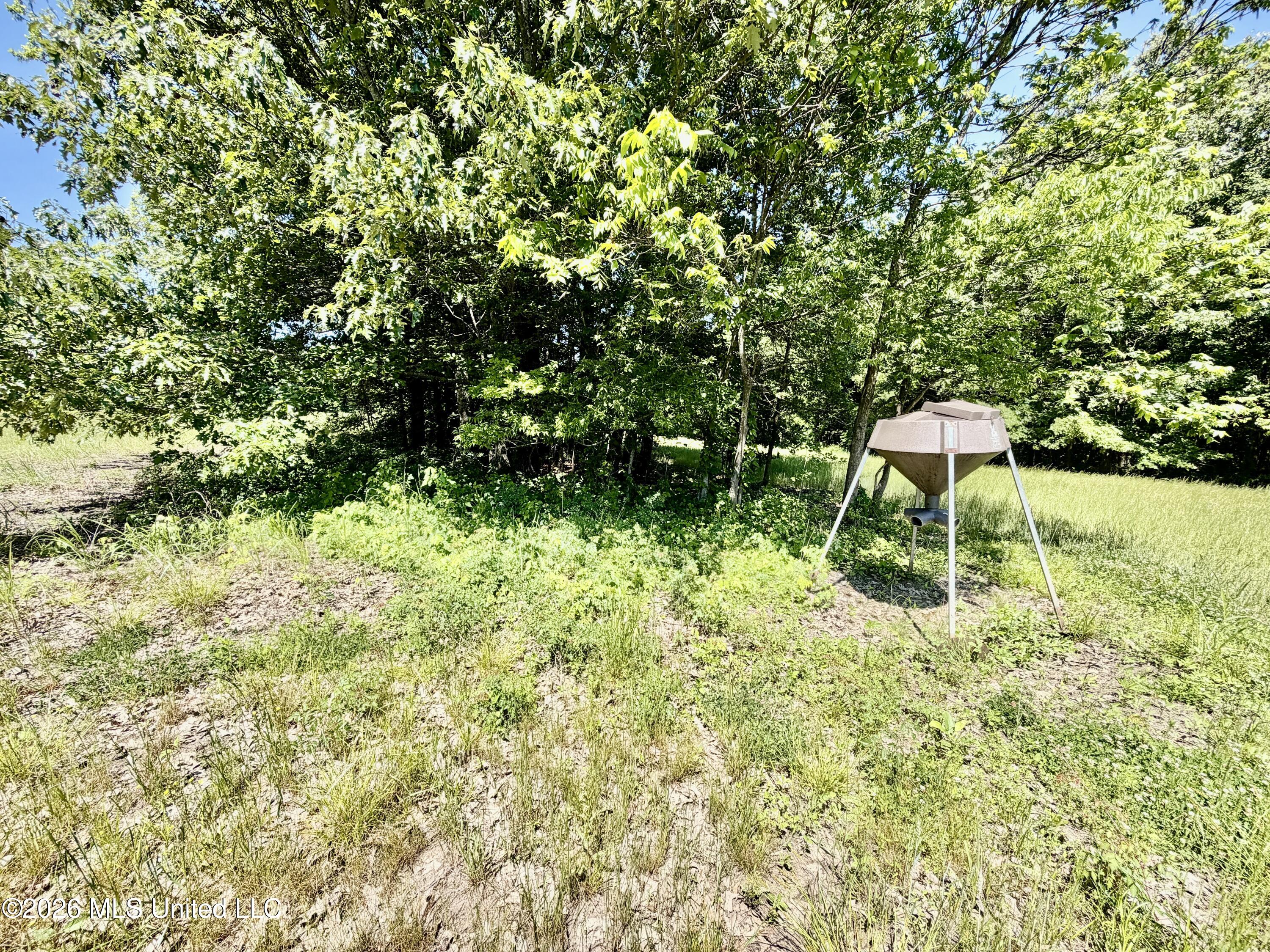 Jenkins Road Property Photo 39