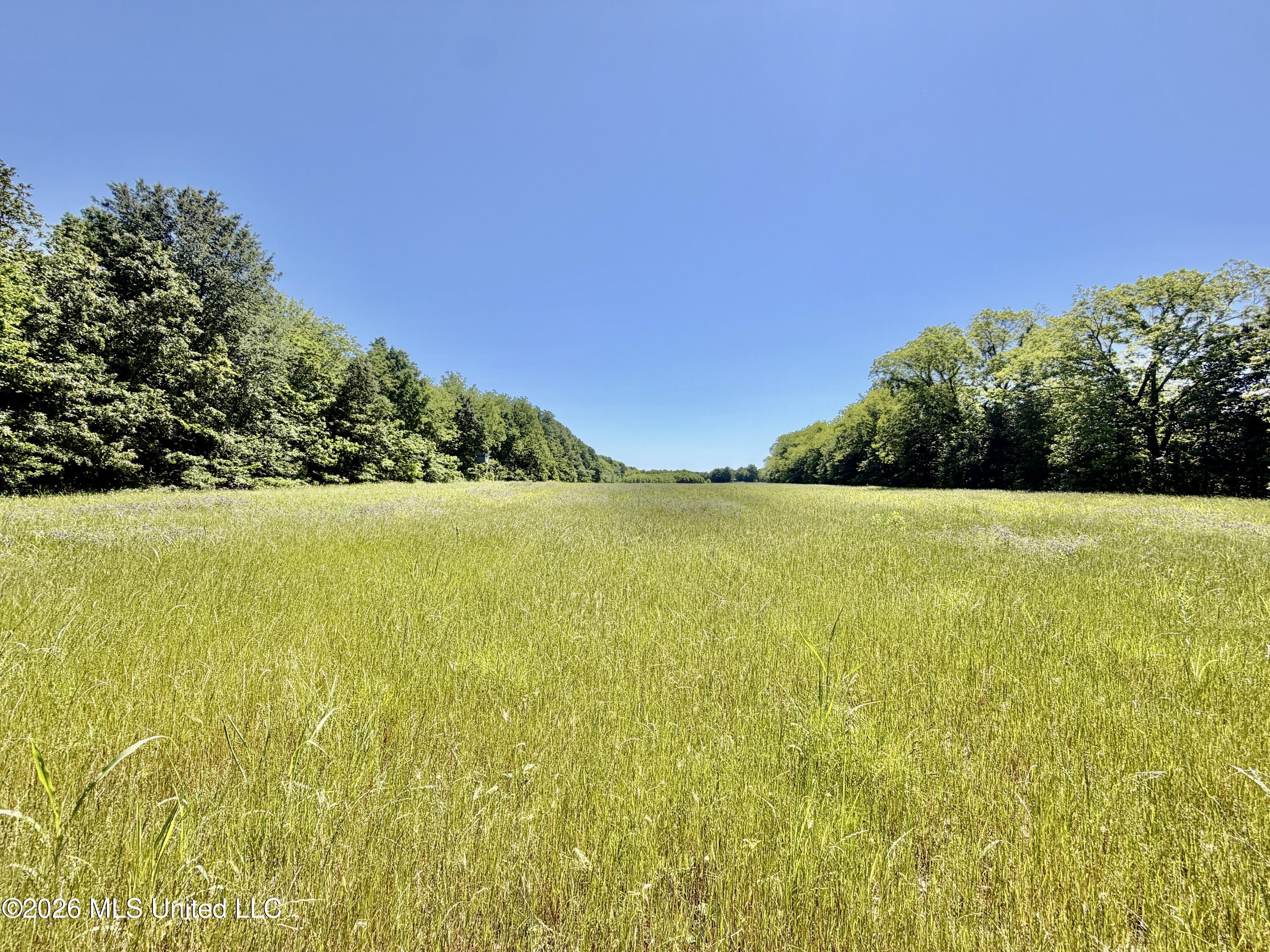 Jenkins Road Property Photo 40