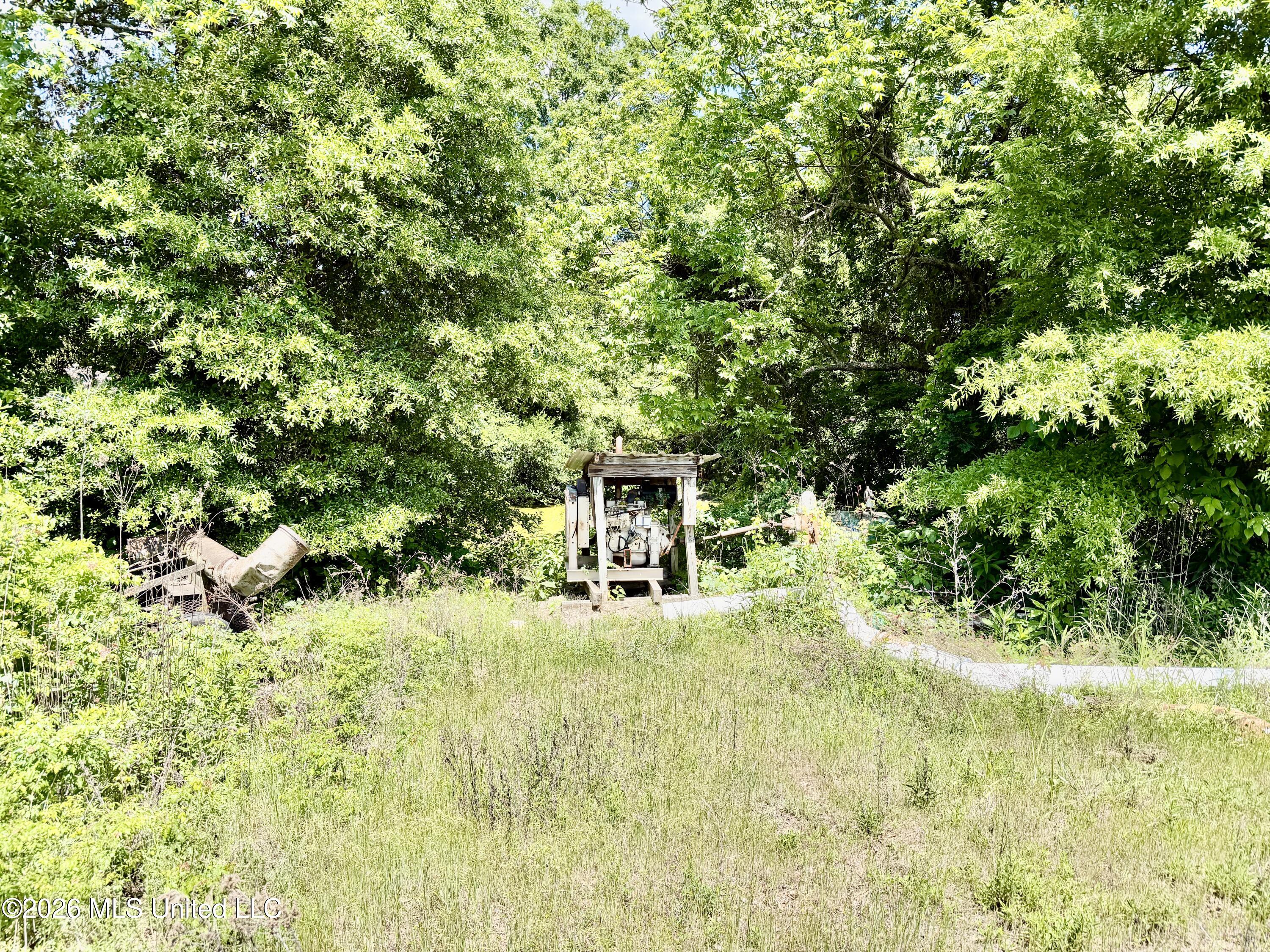 Jenkins Road Property Photo 42