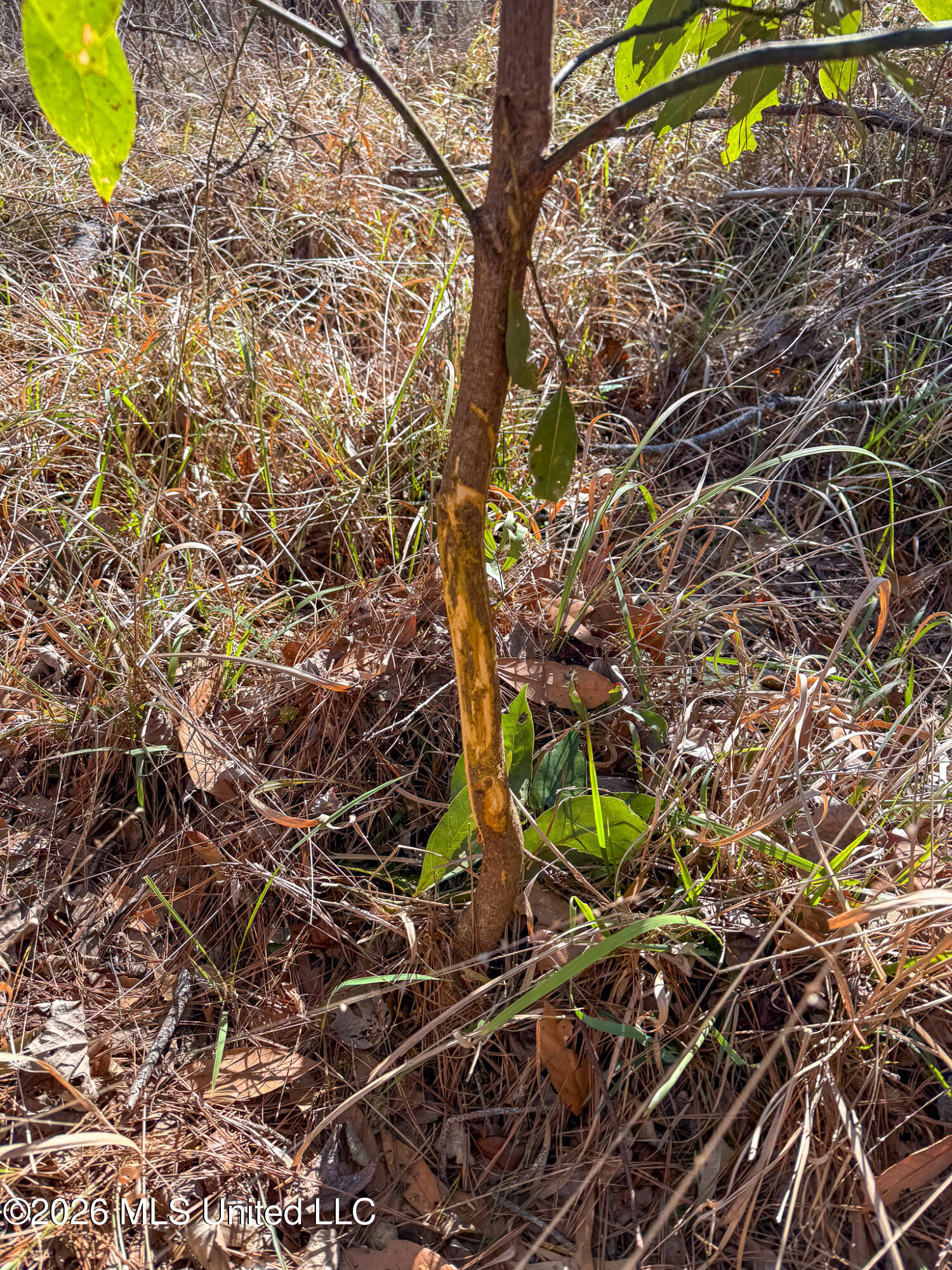 Cable Bridge Road Property Photo 14