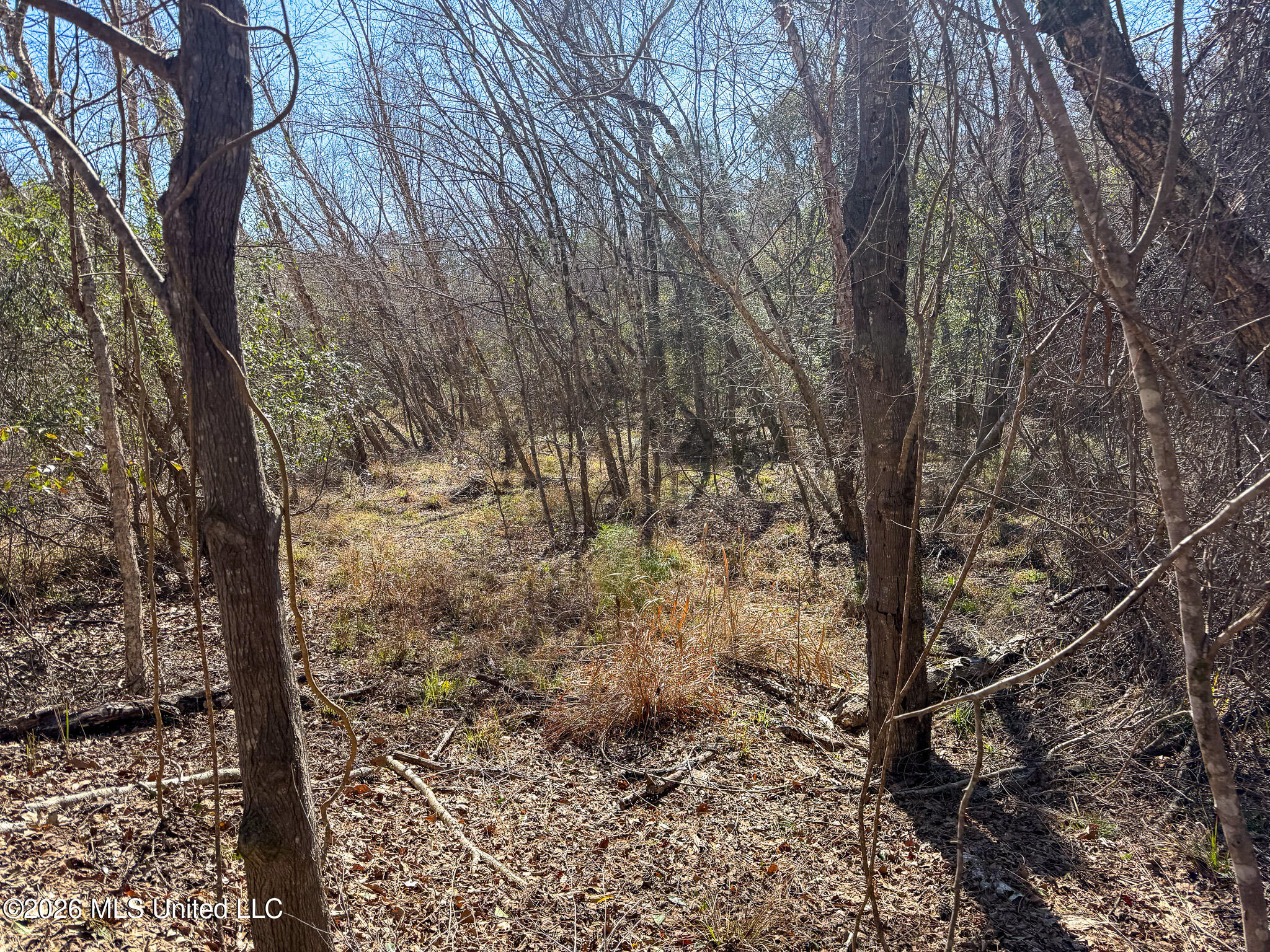 Cable Bridge Road Property Photo 18