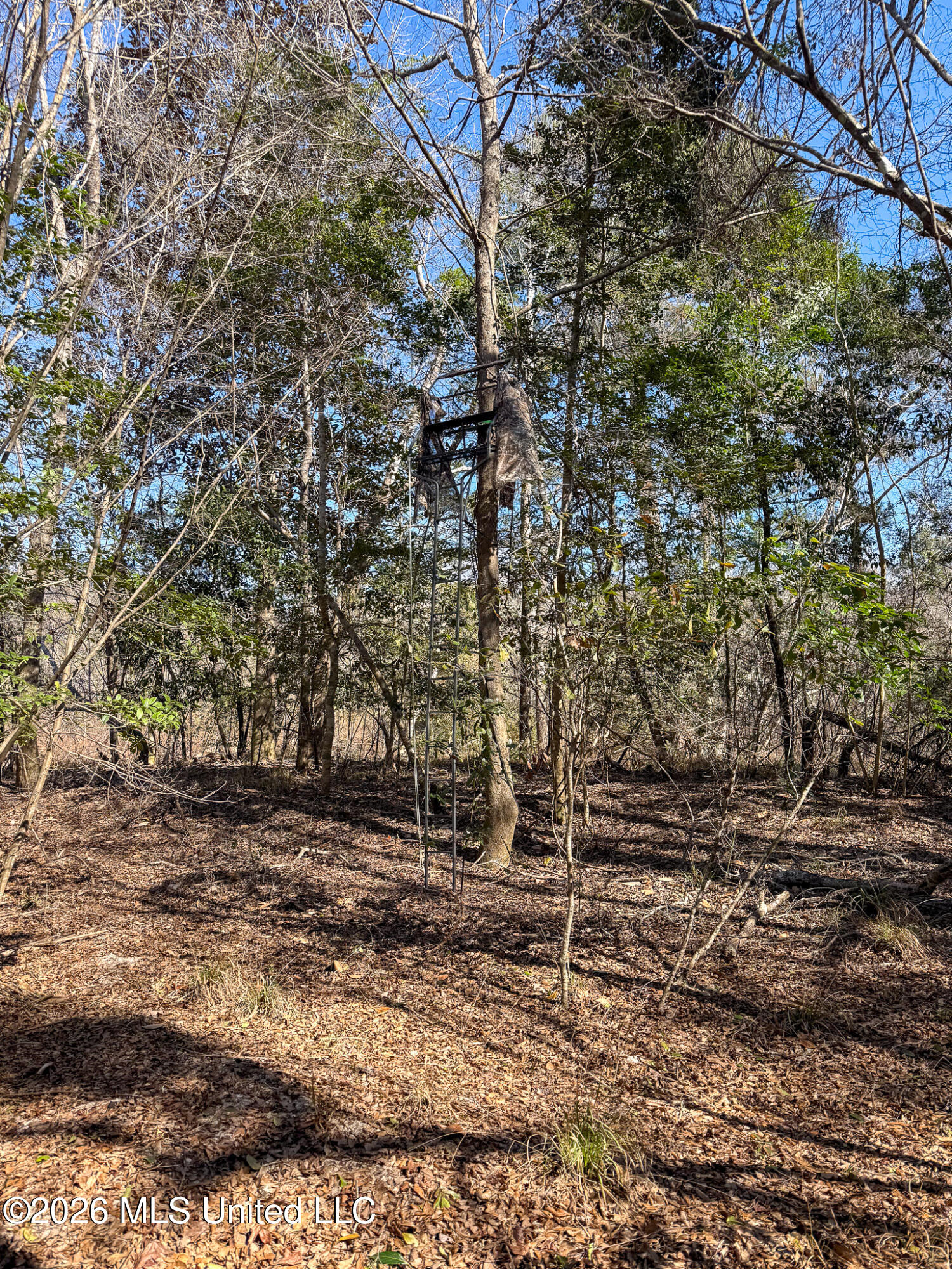 Cable Bridge Road Property Photo 19