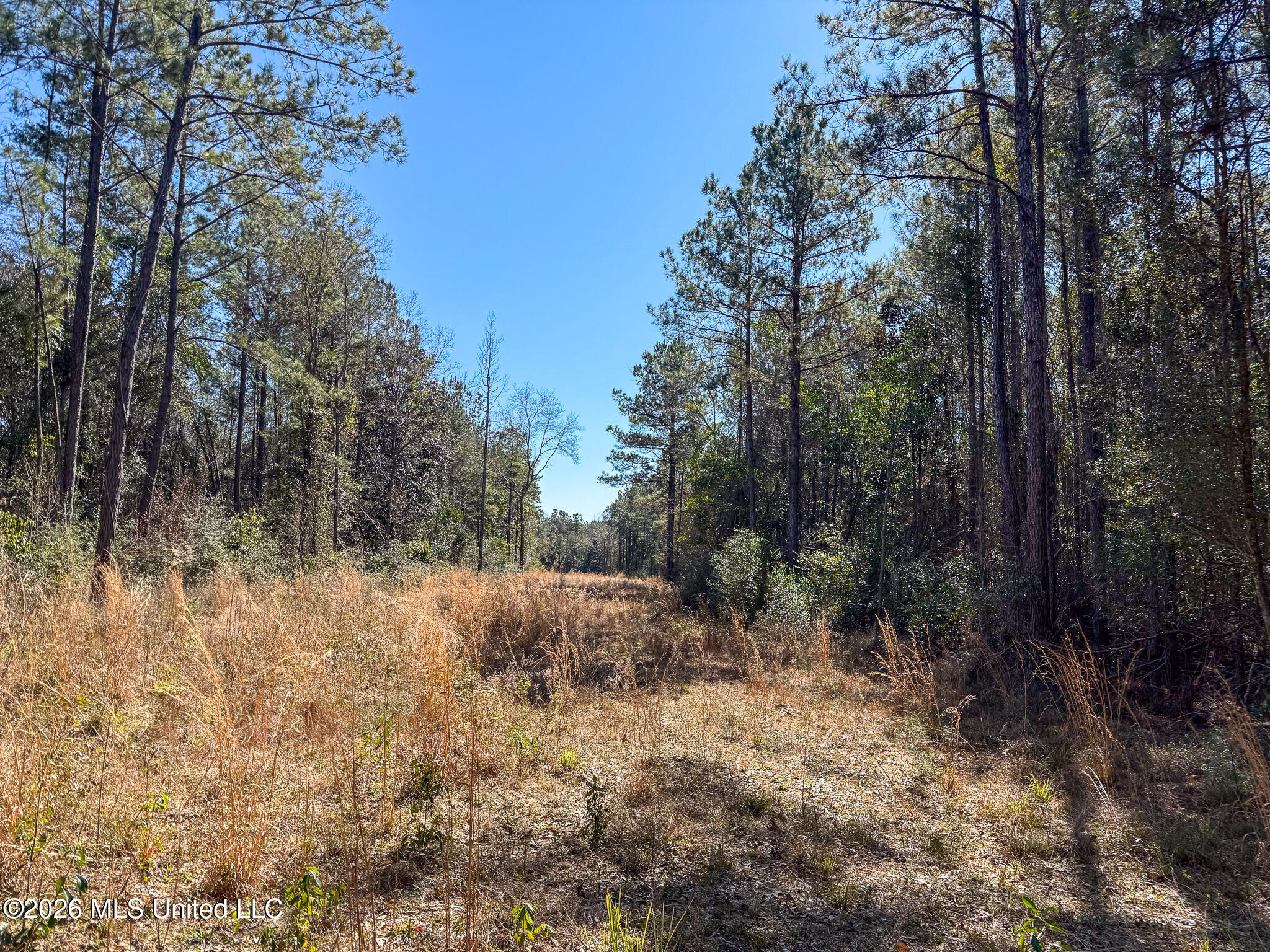 Cable Bridge Road Property Photo 20