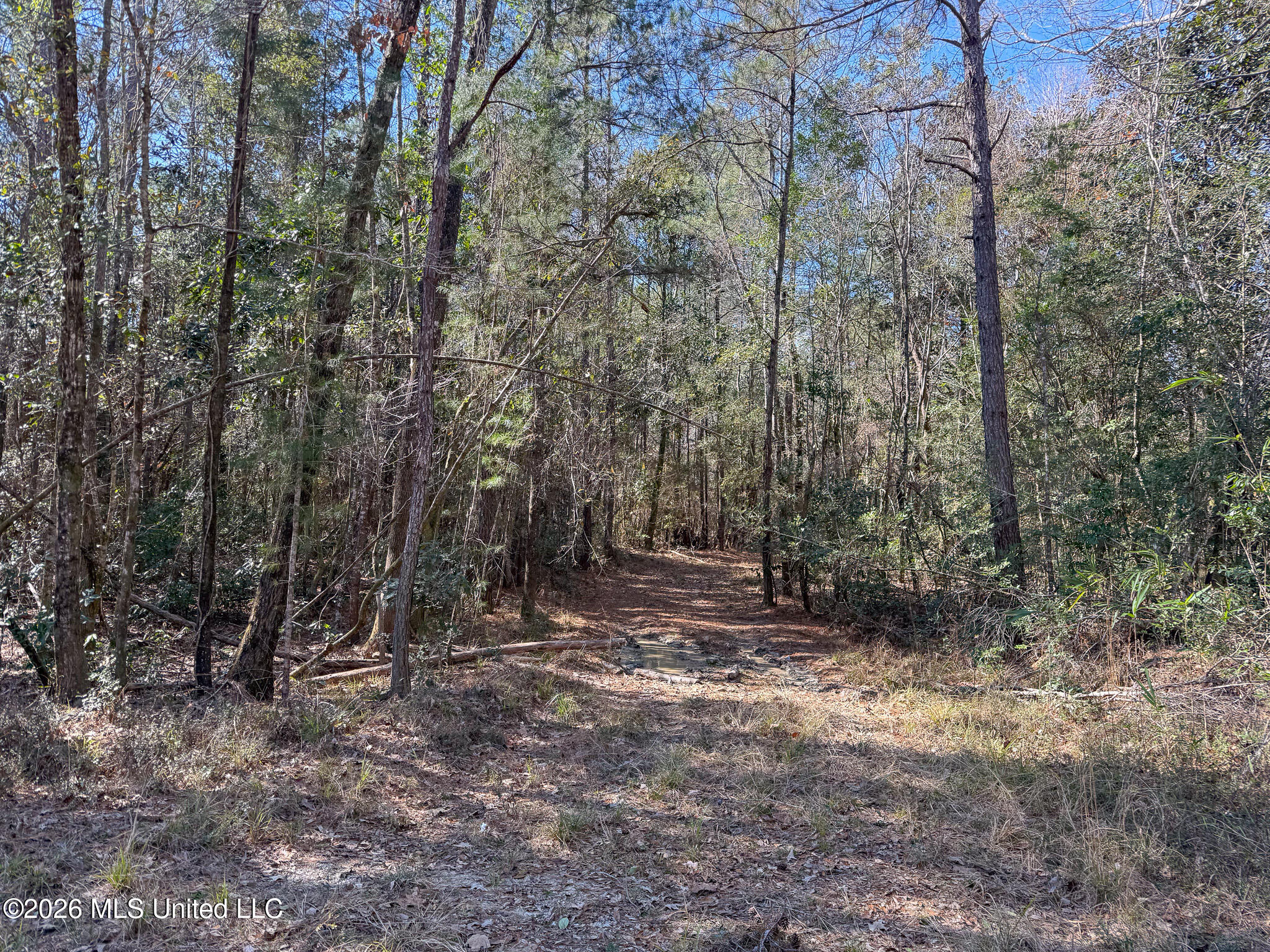 Cable Bridge Road Property Photo 21