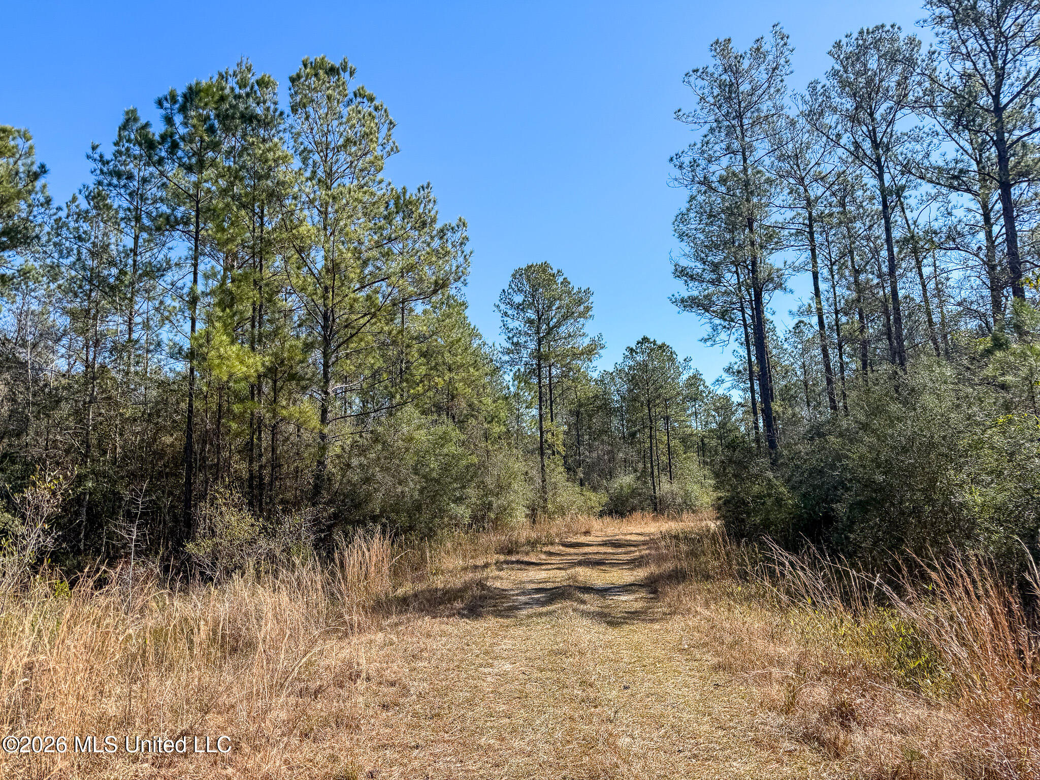 Cable Bridge Road Property Photo 23